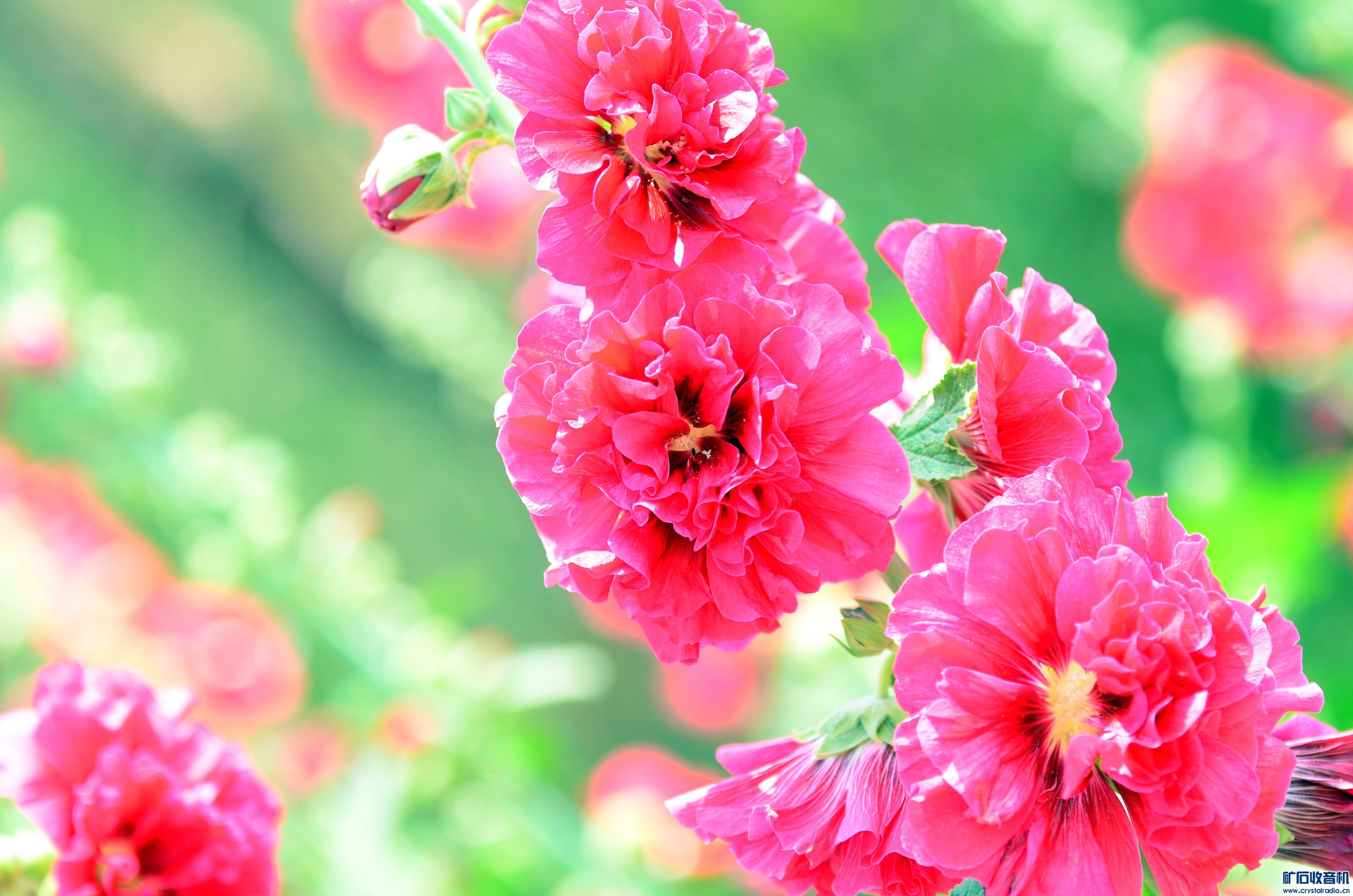 DSC_9416_@01.jpg