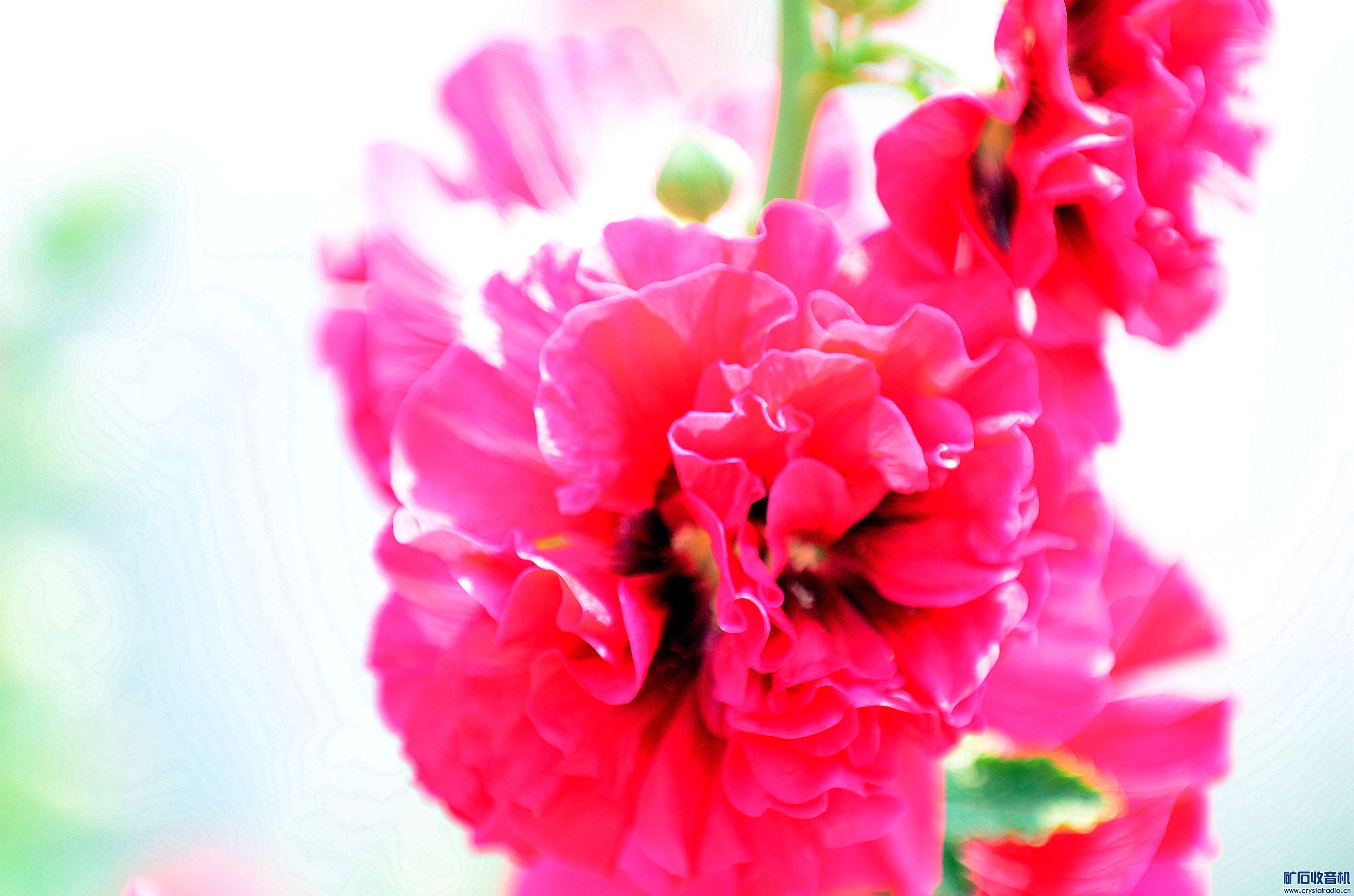 DSC_9416_@05.jpg