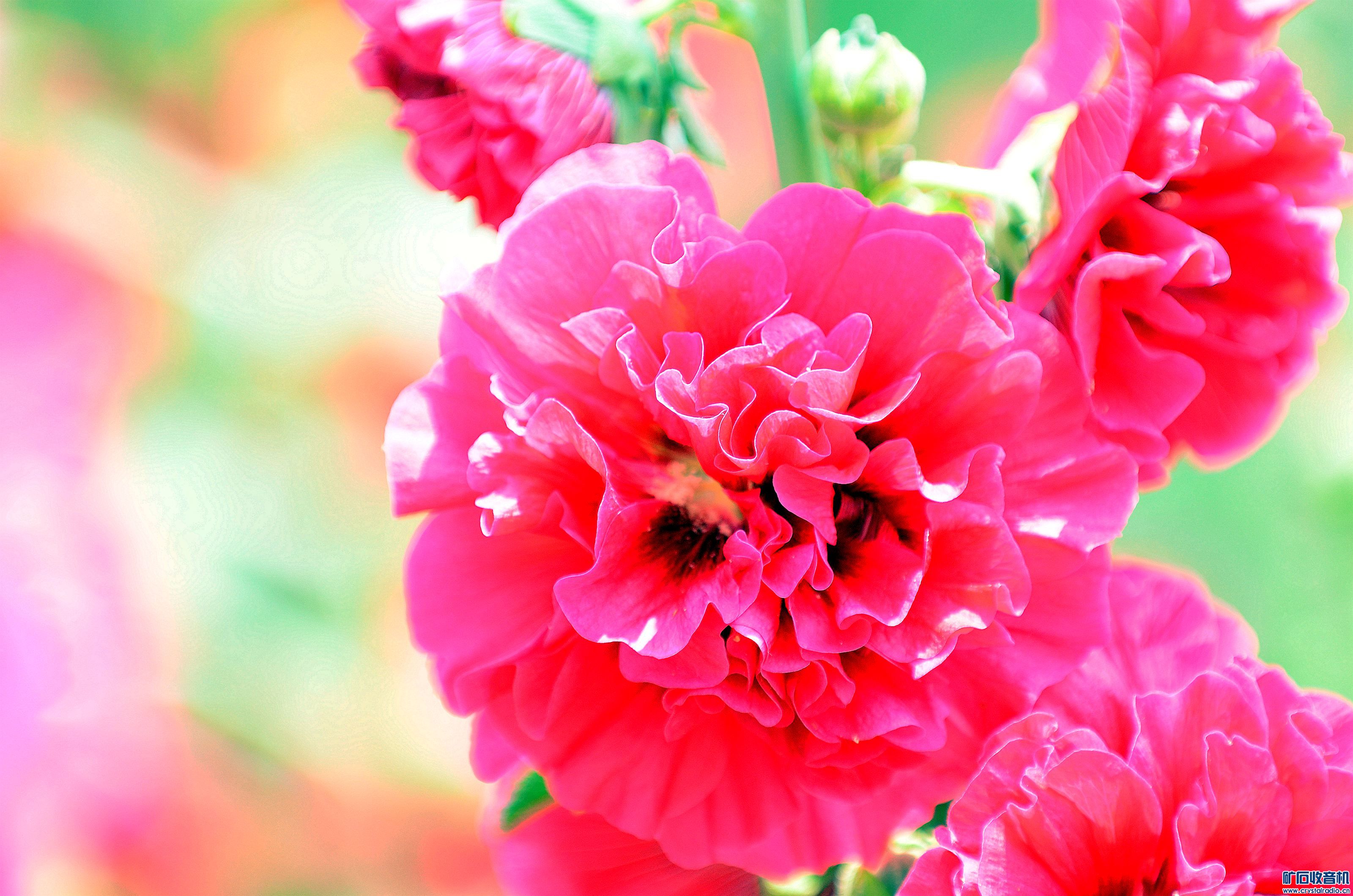 DSC_9416_@06.jpg