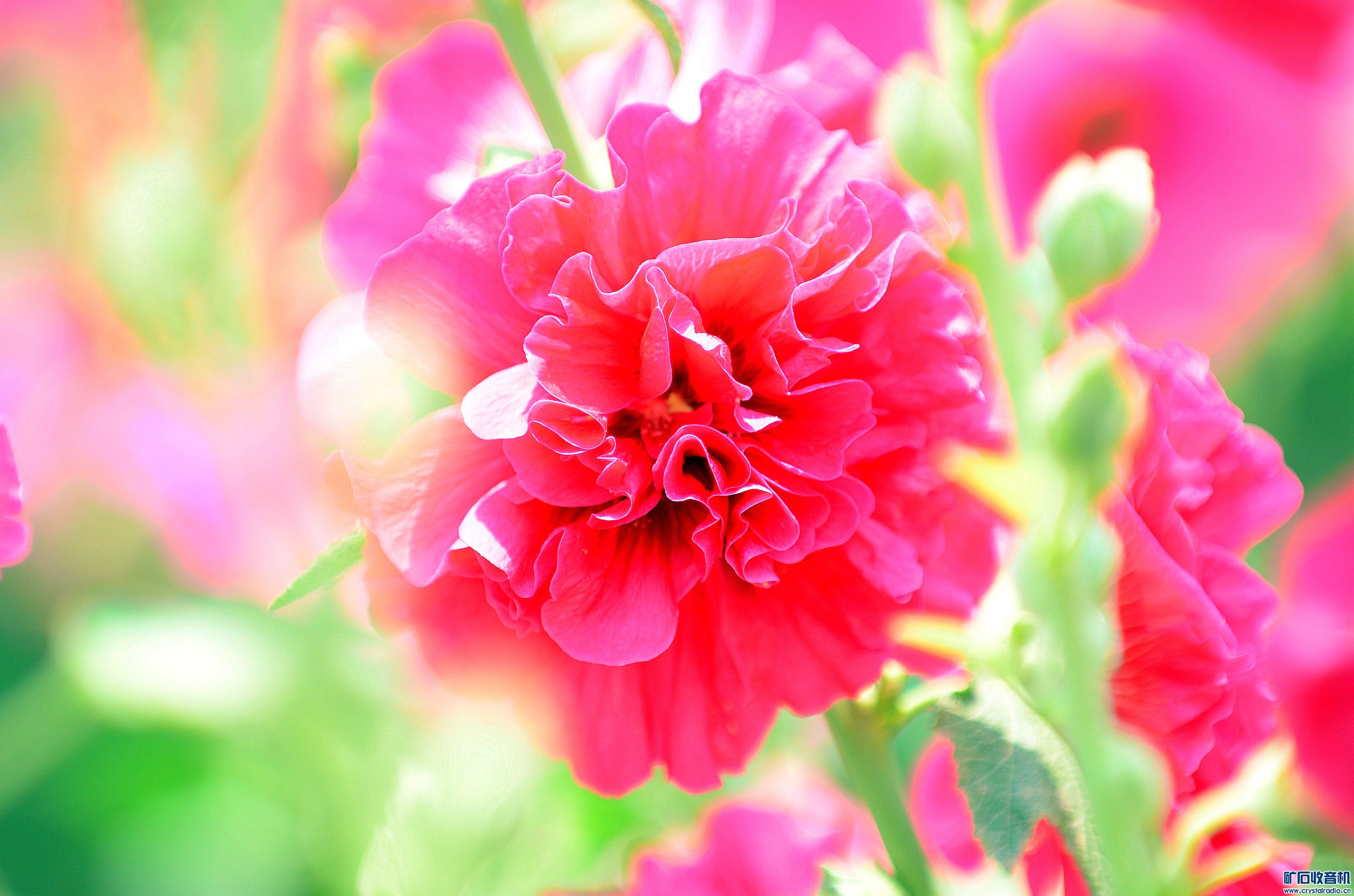 DSC_9416_@08.jpg