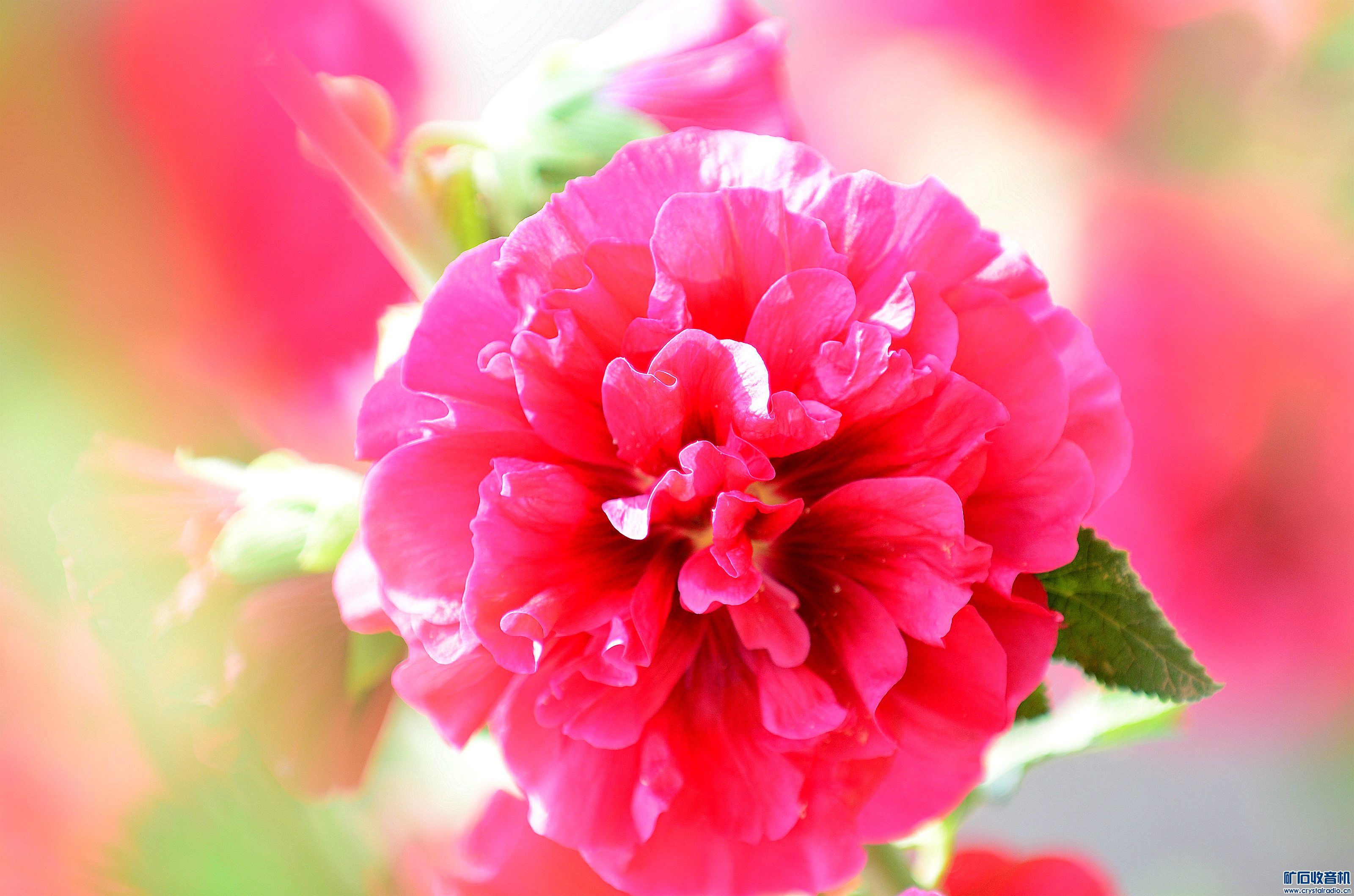 DSC_9416_@09.jpg