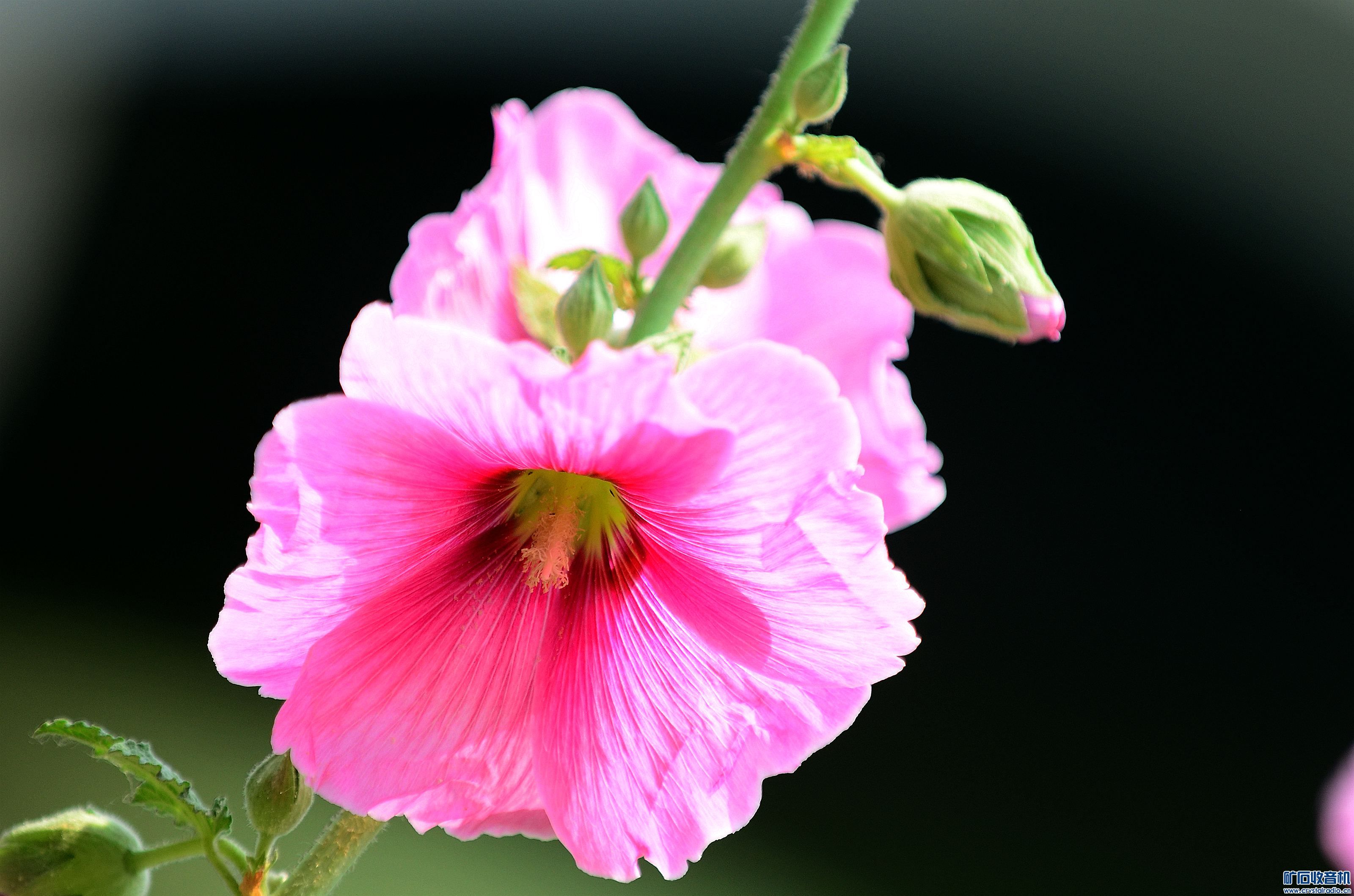 DSC_9416_@16.jpg