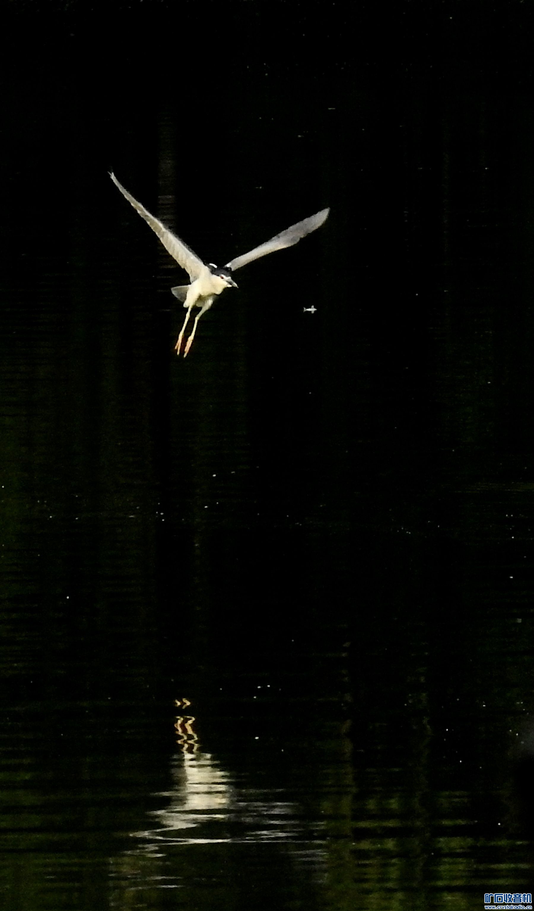 DSCN1179_.jpg