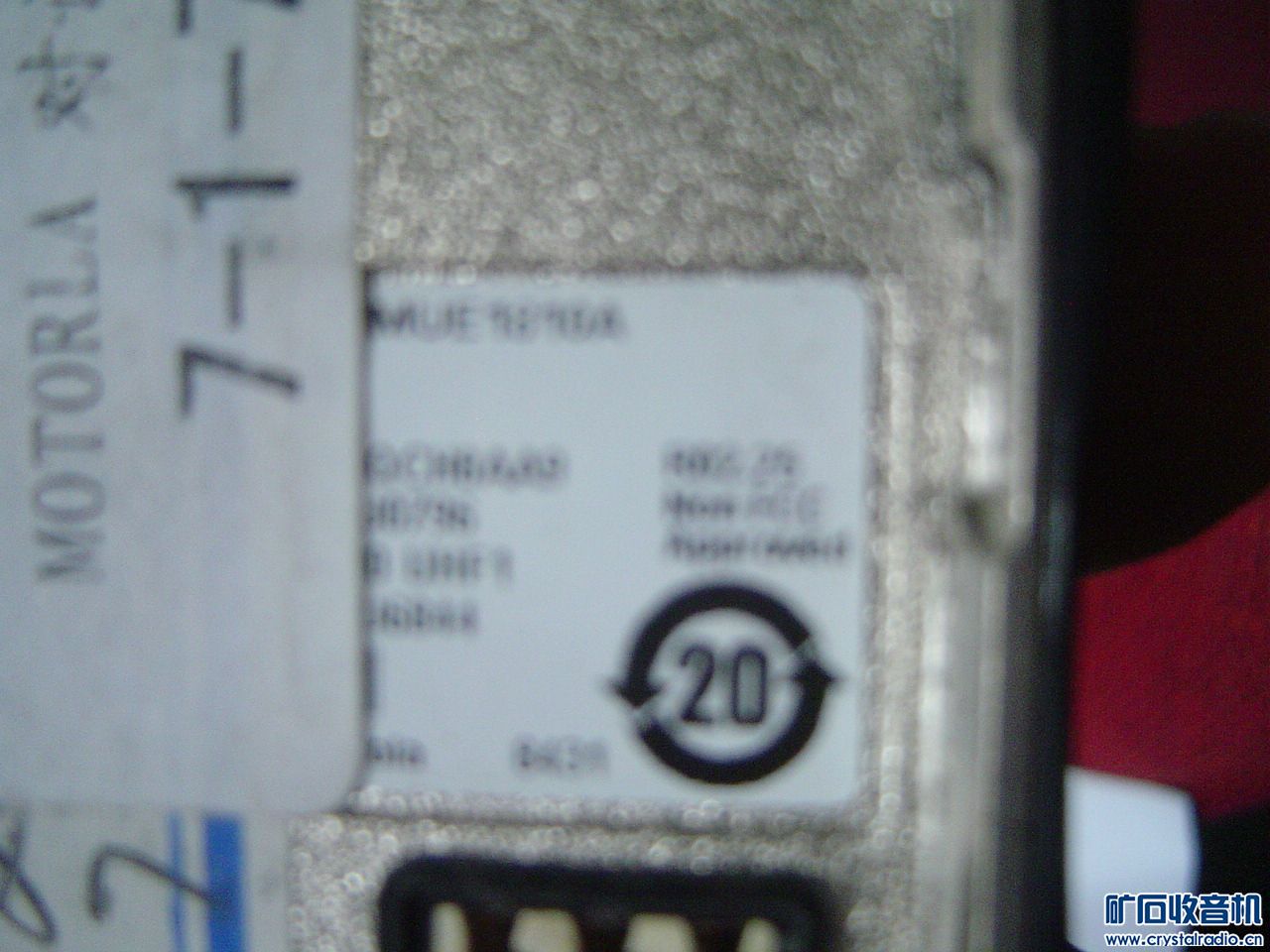 DSC08080.JPG