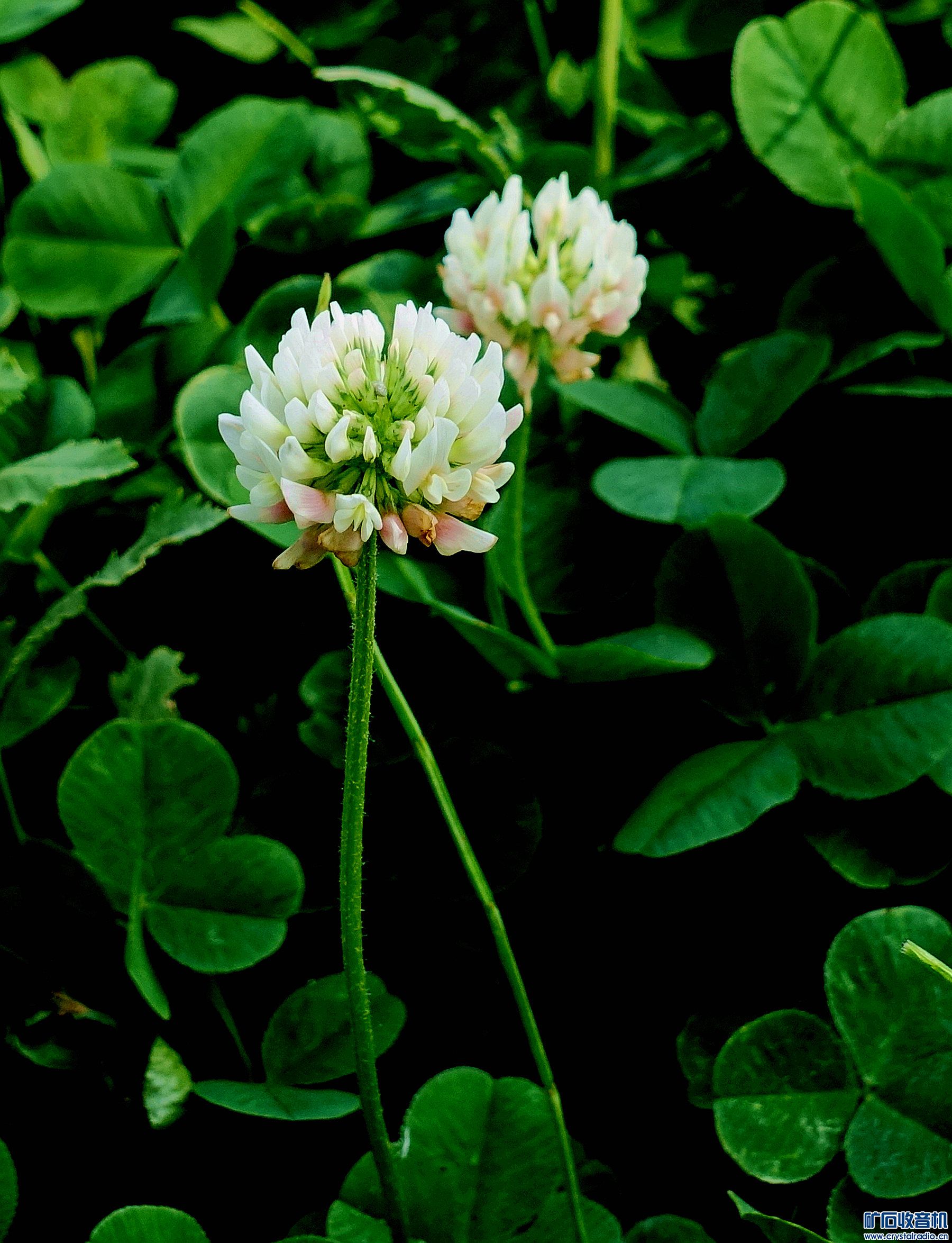 DSC05262.jpg