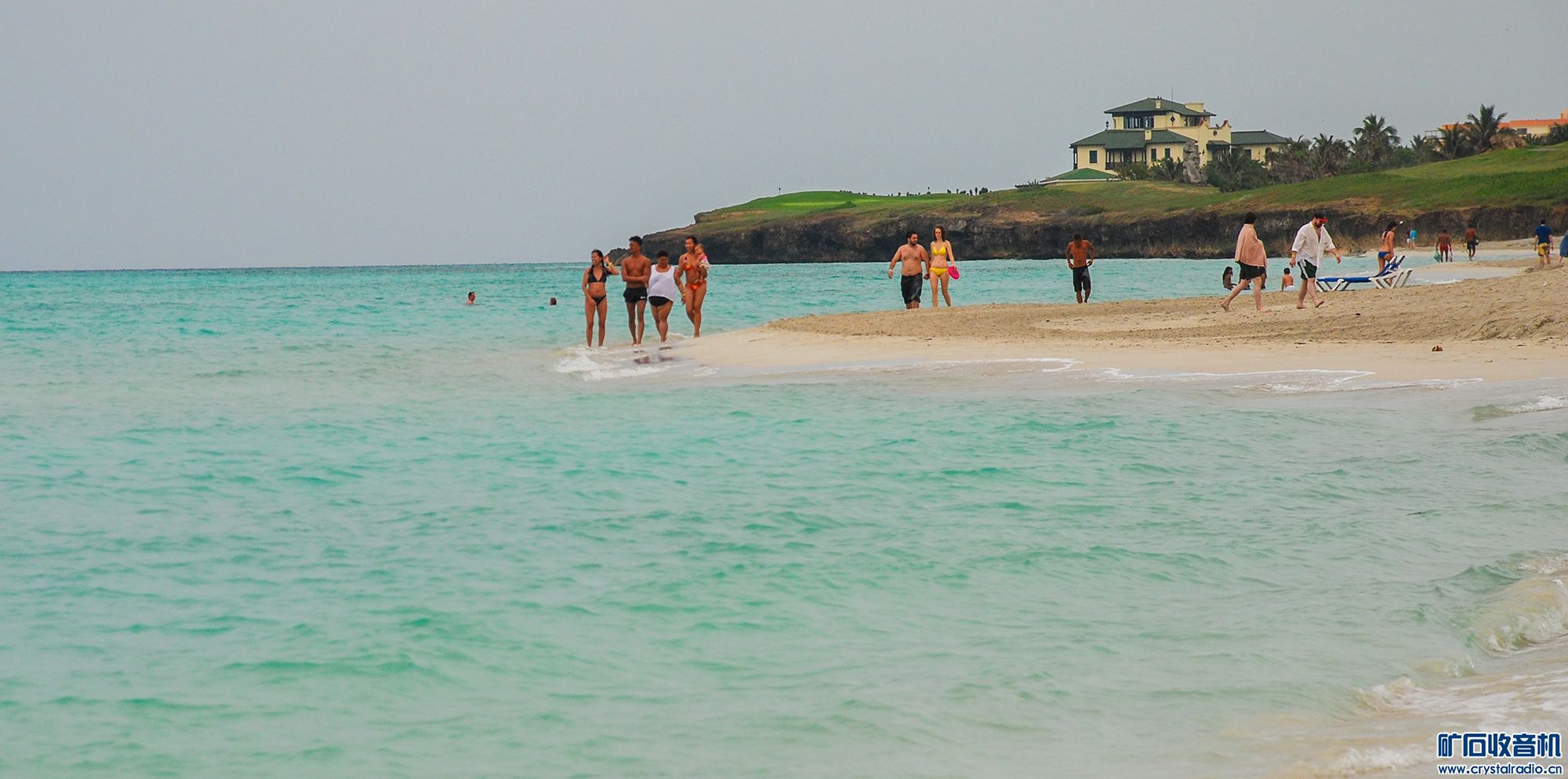DSC_4978.JPG