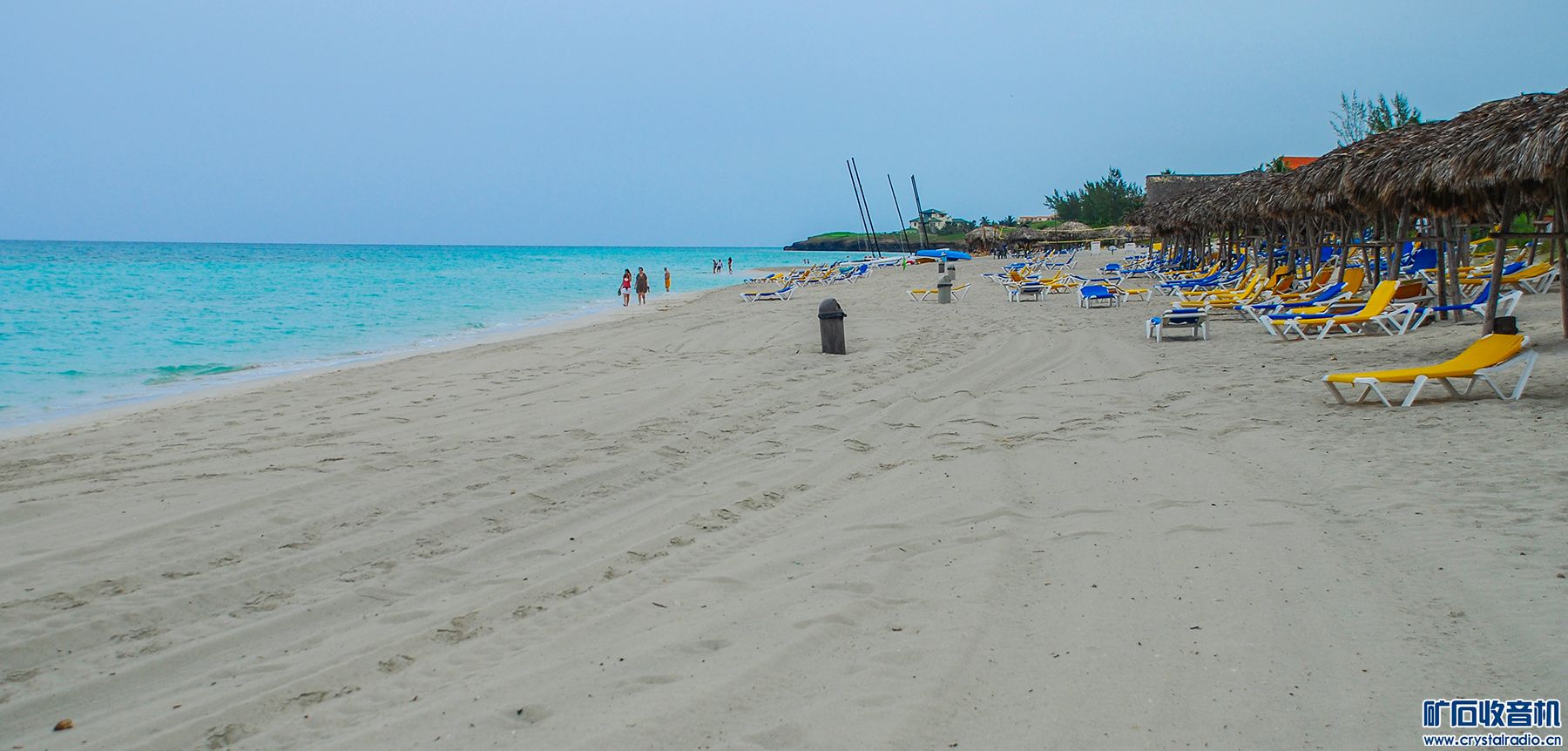 DSC_4983.JPG