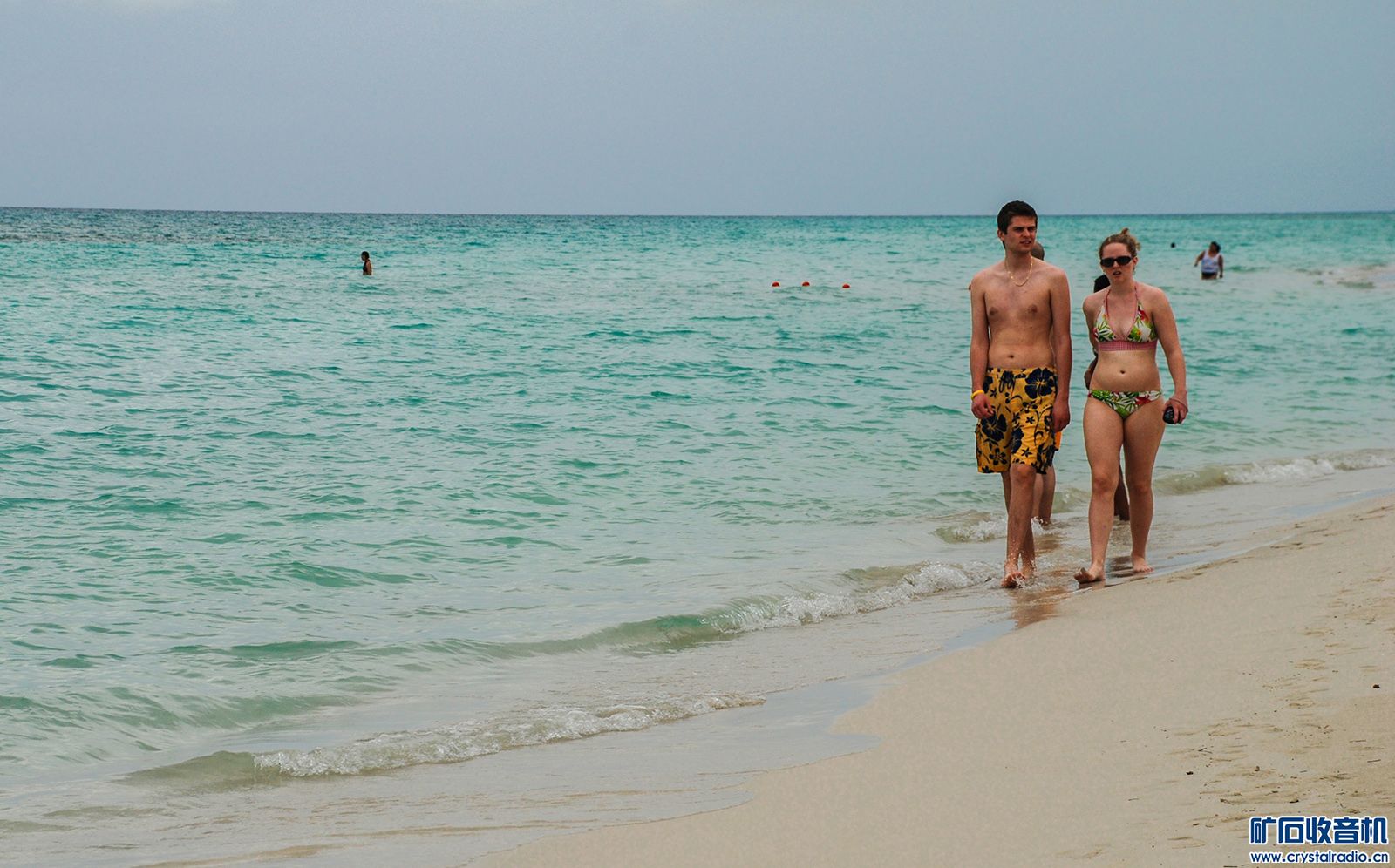 DSC_4994.JPG