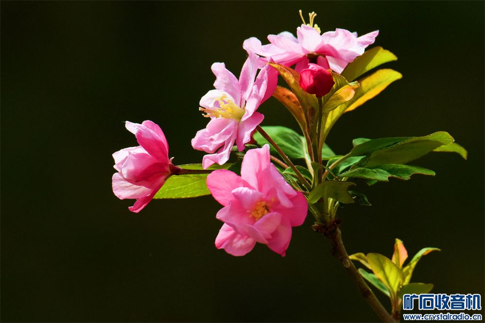 DSC_3677__.jpg