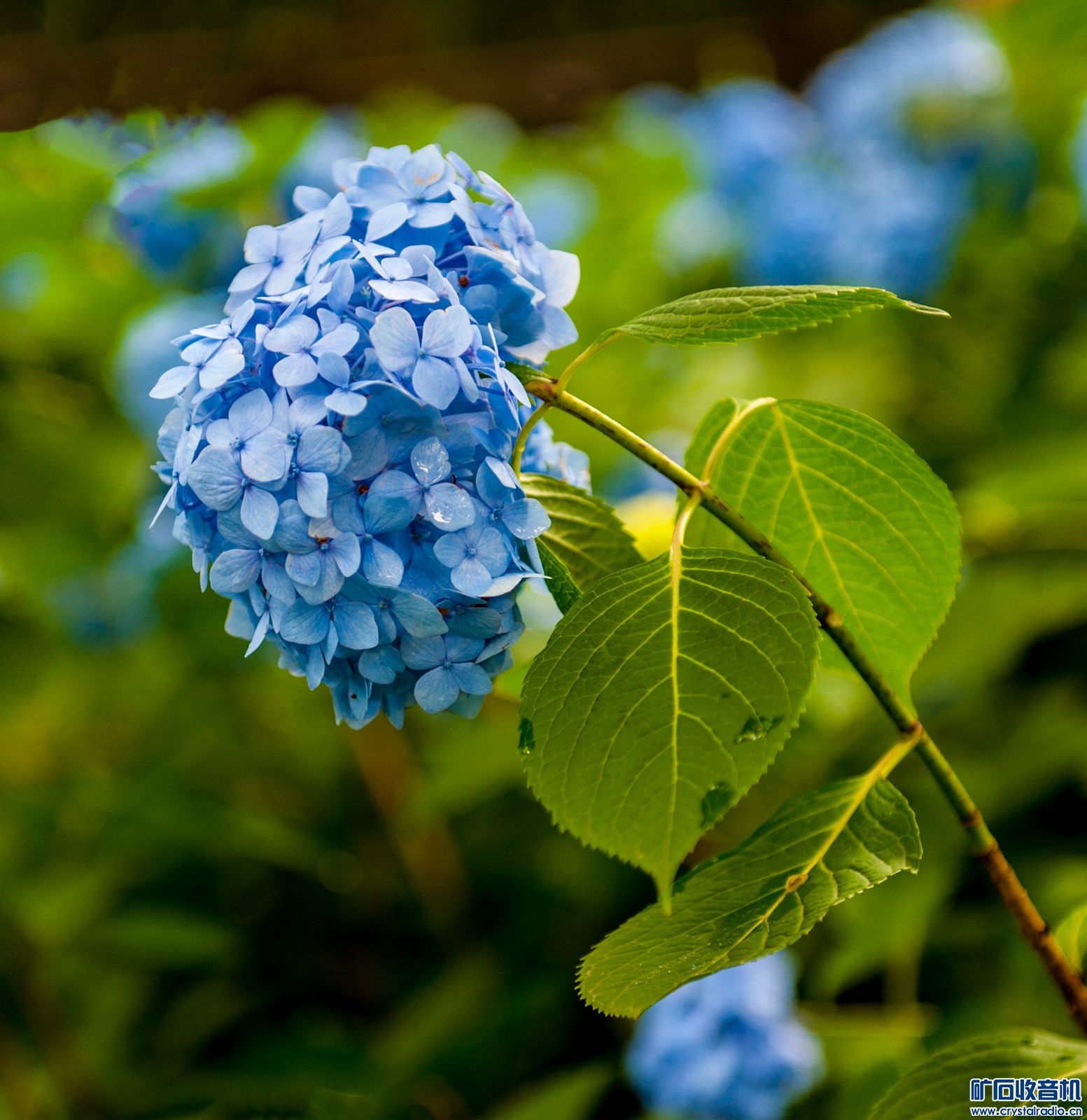 DSC_3988.JPG