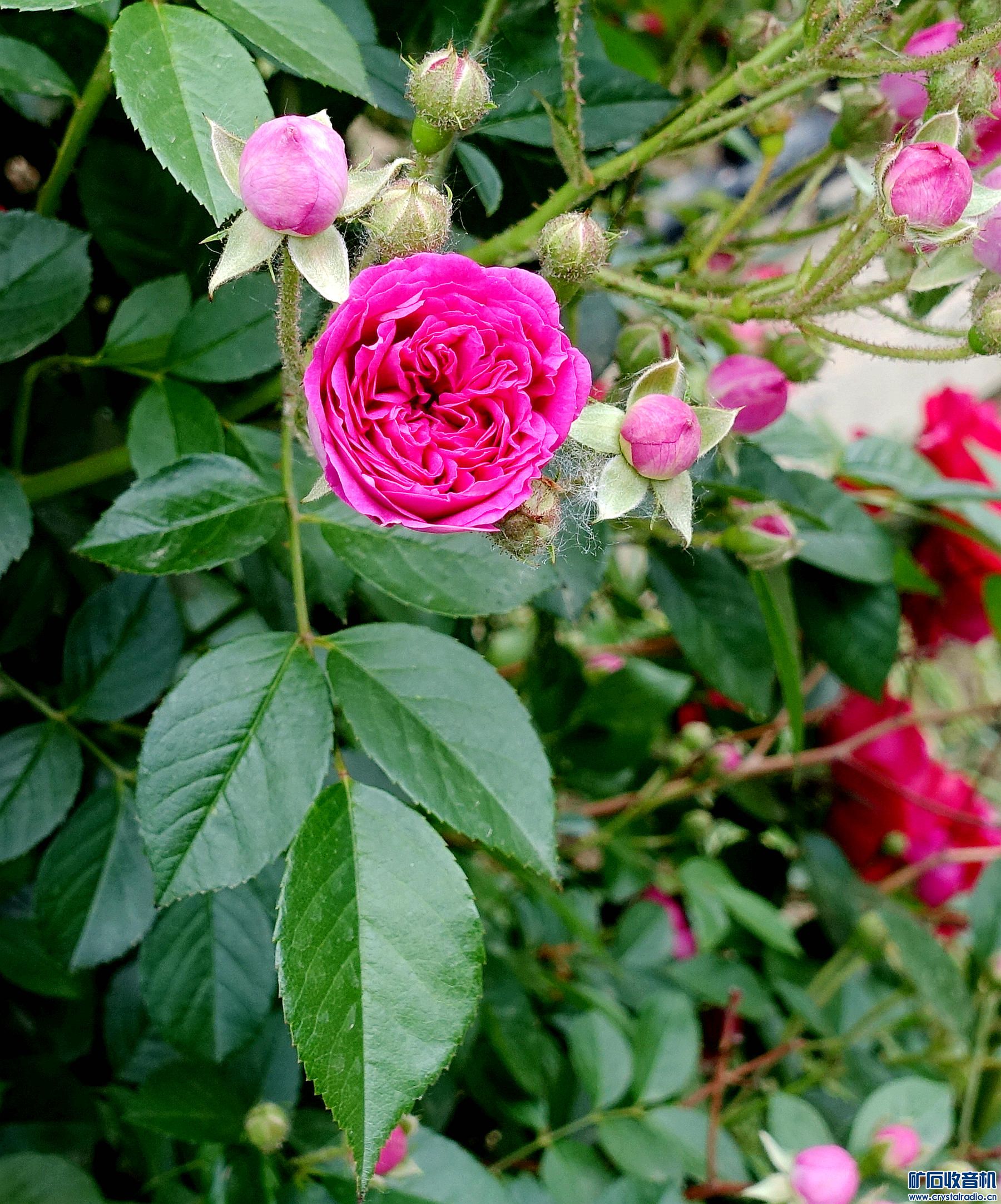DSC05562.jpg