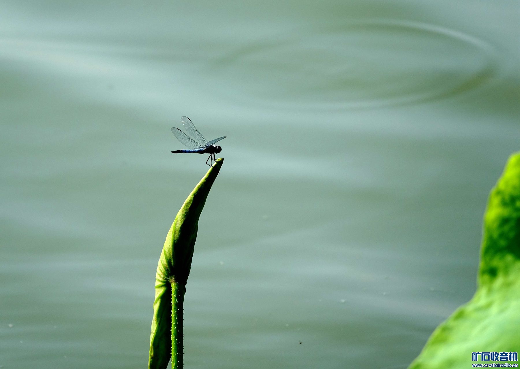 DSC03164_.jpg