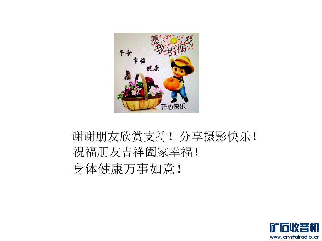 NeoImage6h.jpg