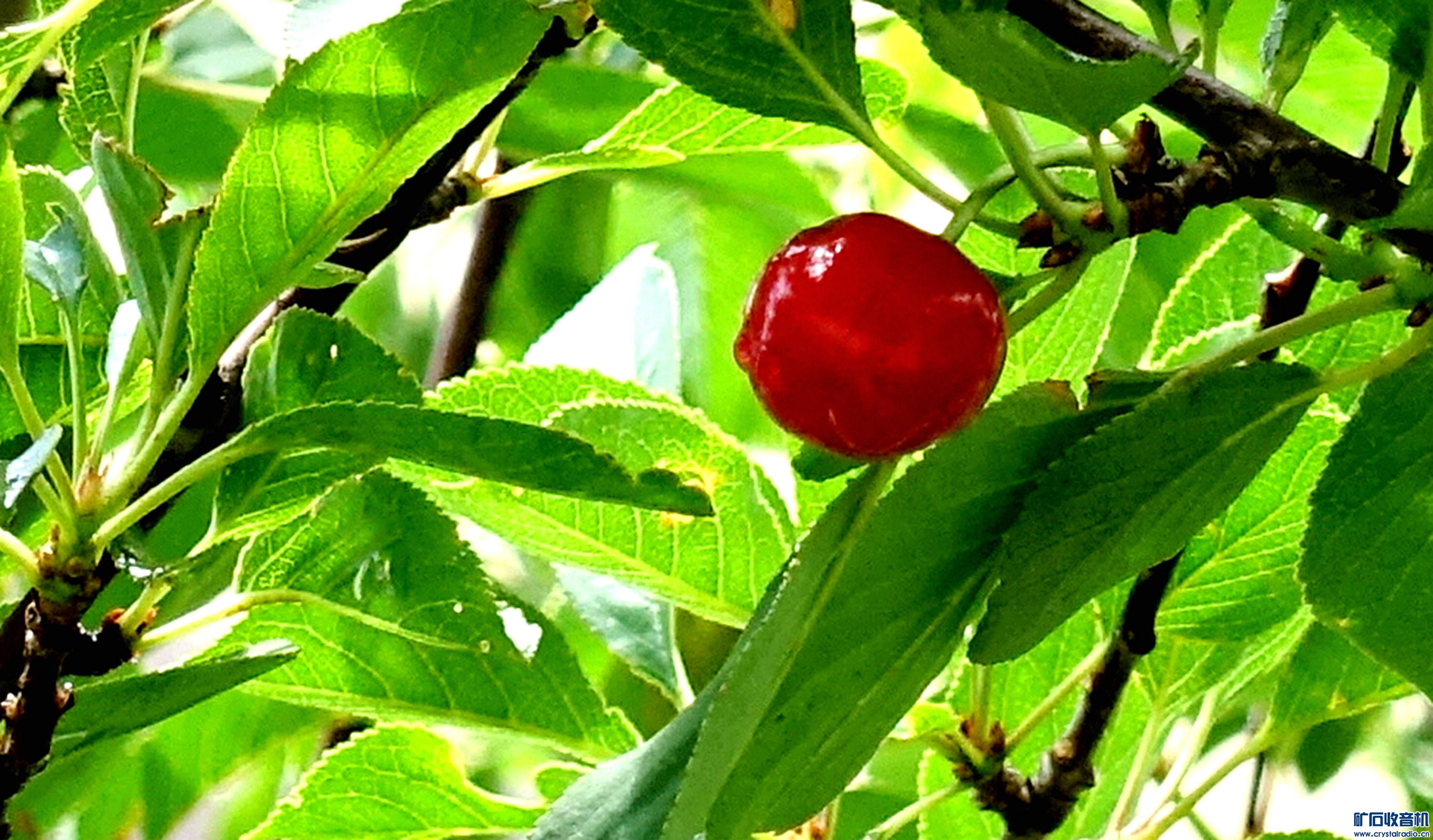 DSC05716.jpg
