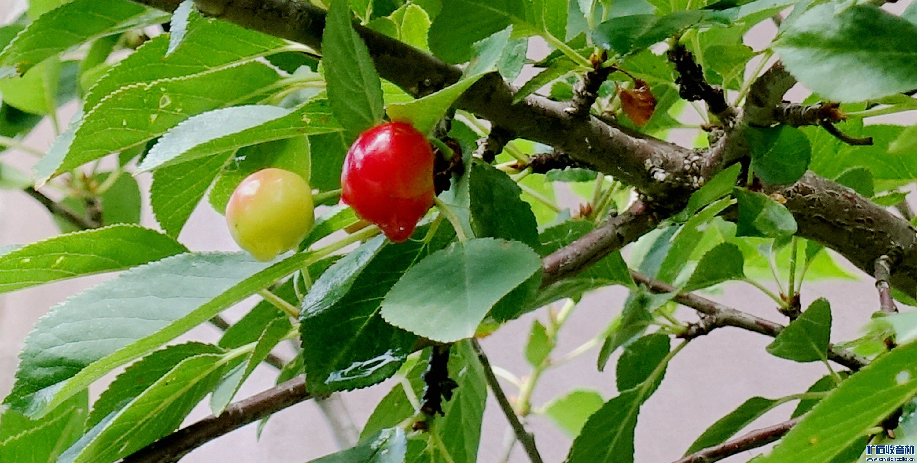 DSC05711.jpg