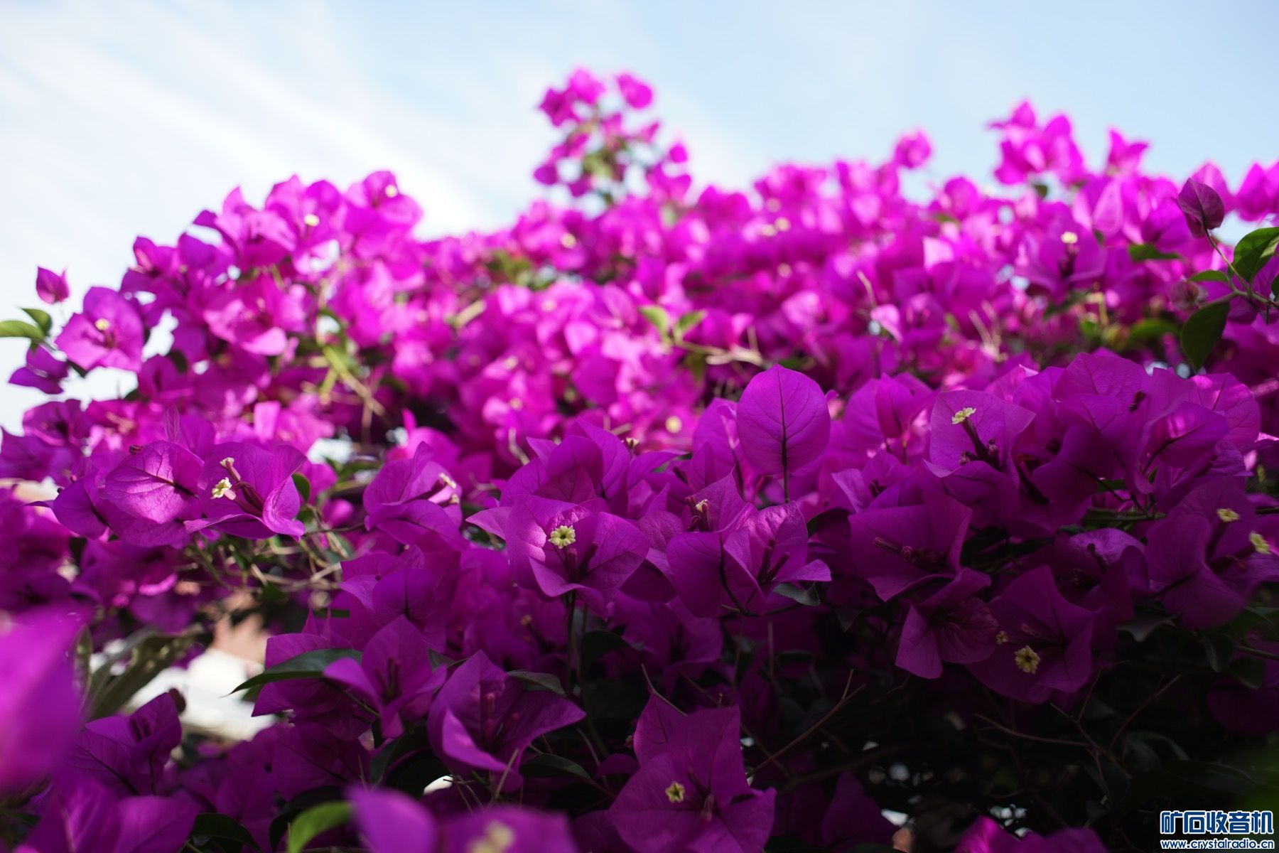 B6564C71-90F8-45D3-A5FC-4AB84DBAD6C3.jpeg