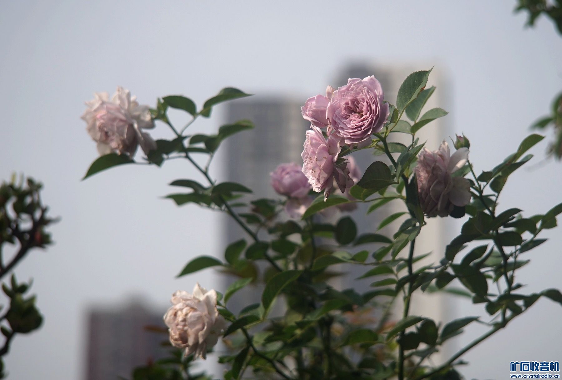 D6378B7D-8AFA-4AE7-9EB2-F990967663EA.jpeg