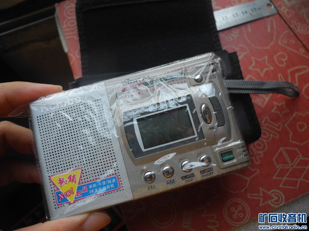 DSCN9931.JPG