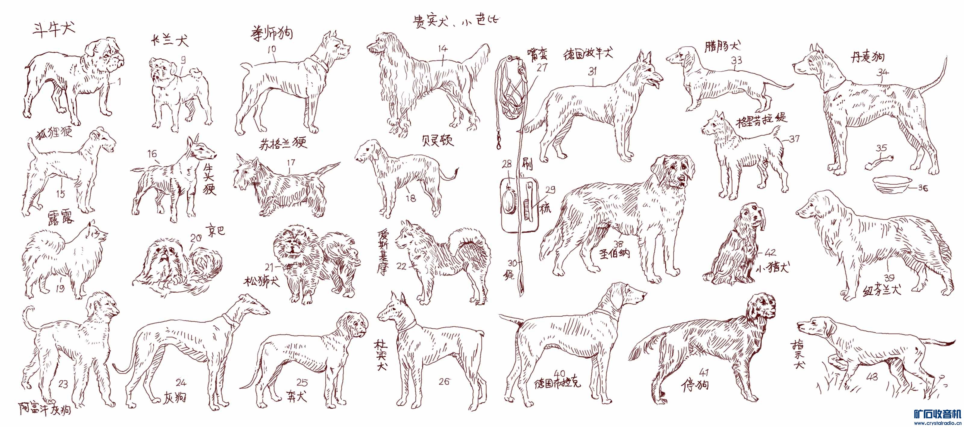 all dogs low.jpg