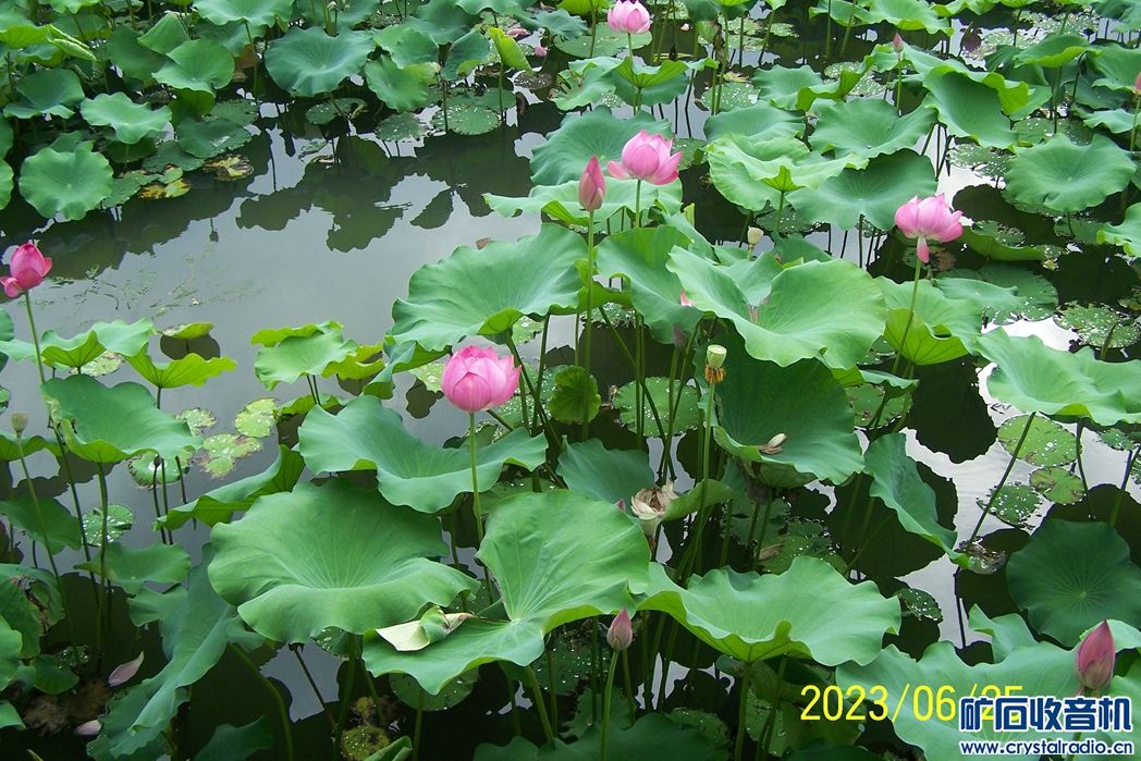 100_7218.JPG