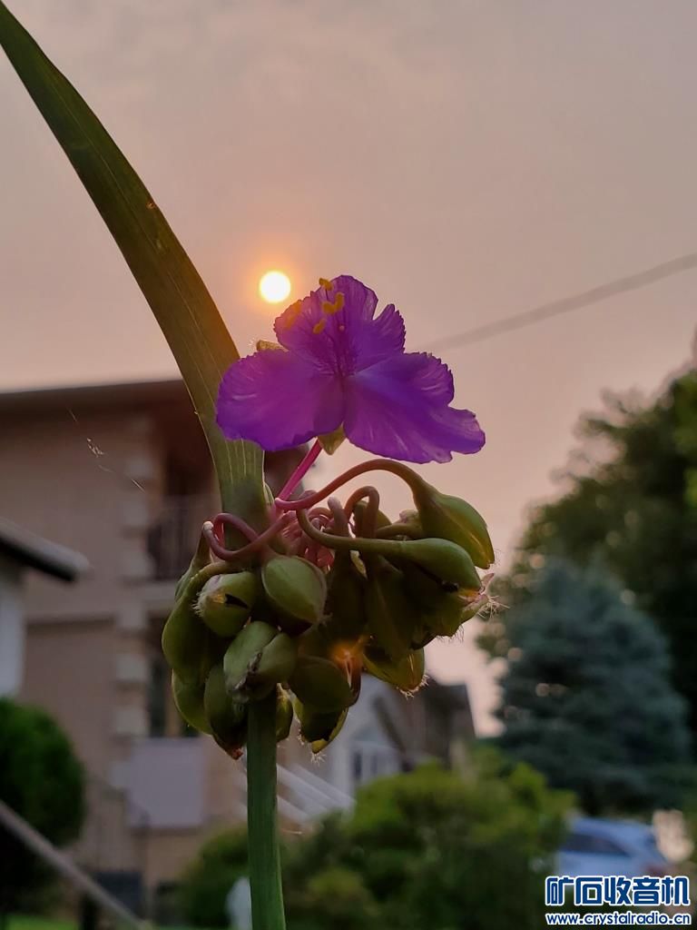20230606_074505.jpg