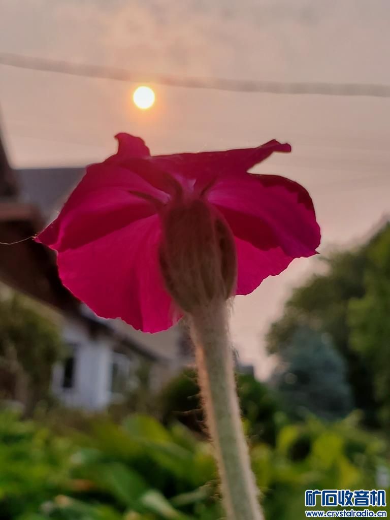 20230606_074736.jpg
