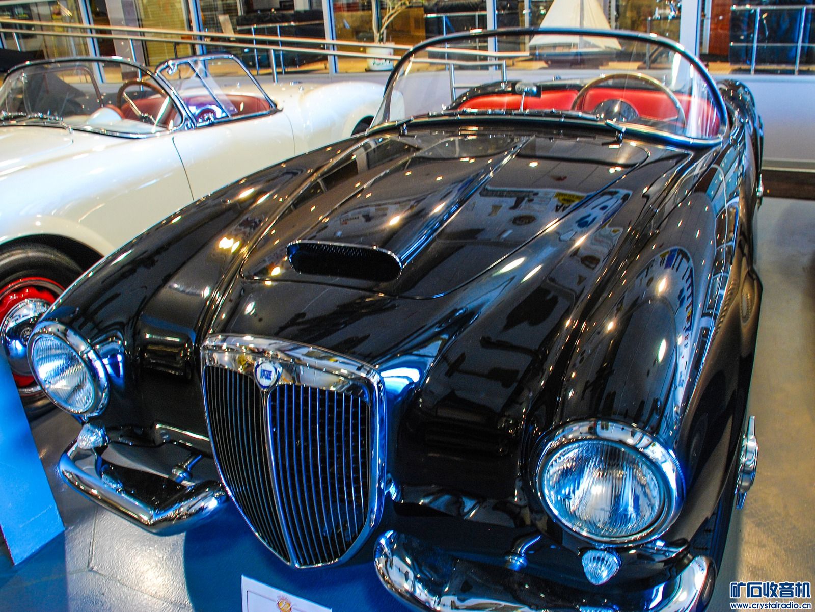 DSC_1584.JPG