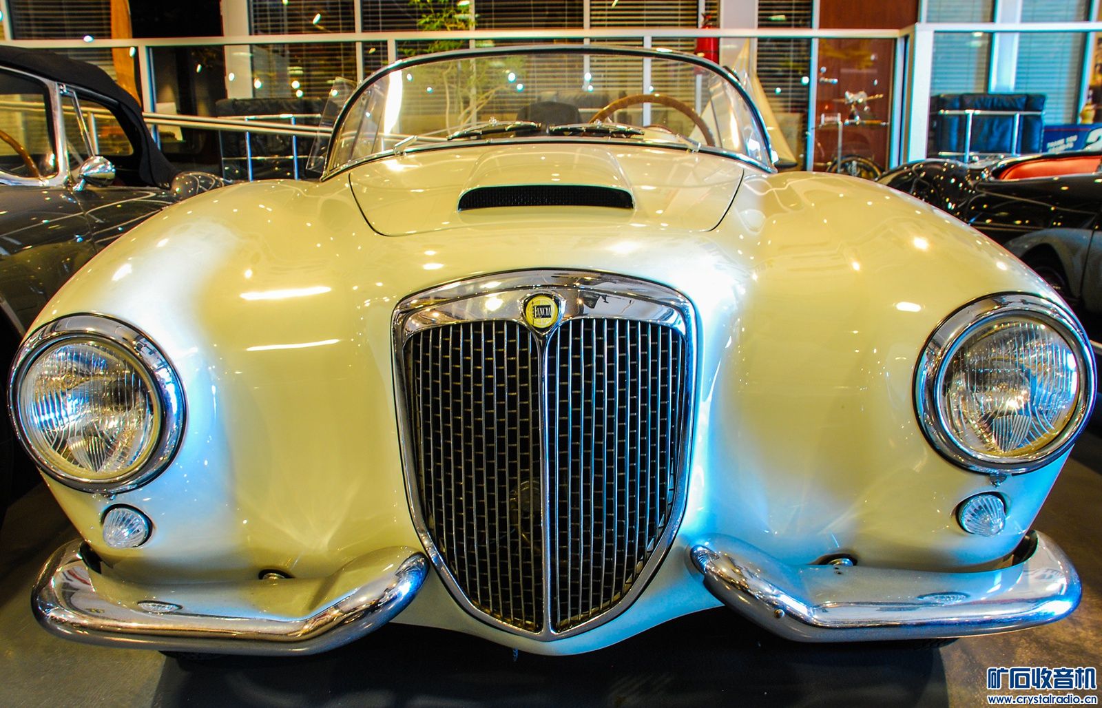 DSC_1586.JPG
