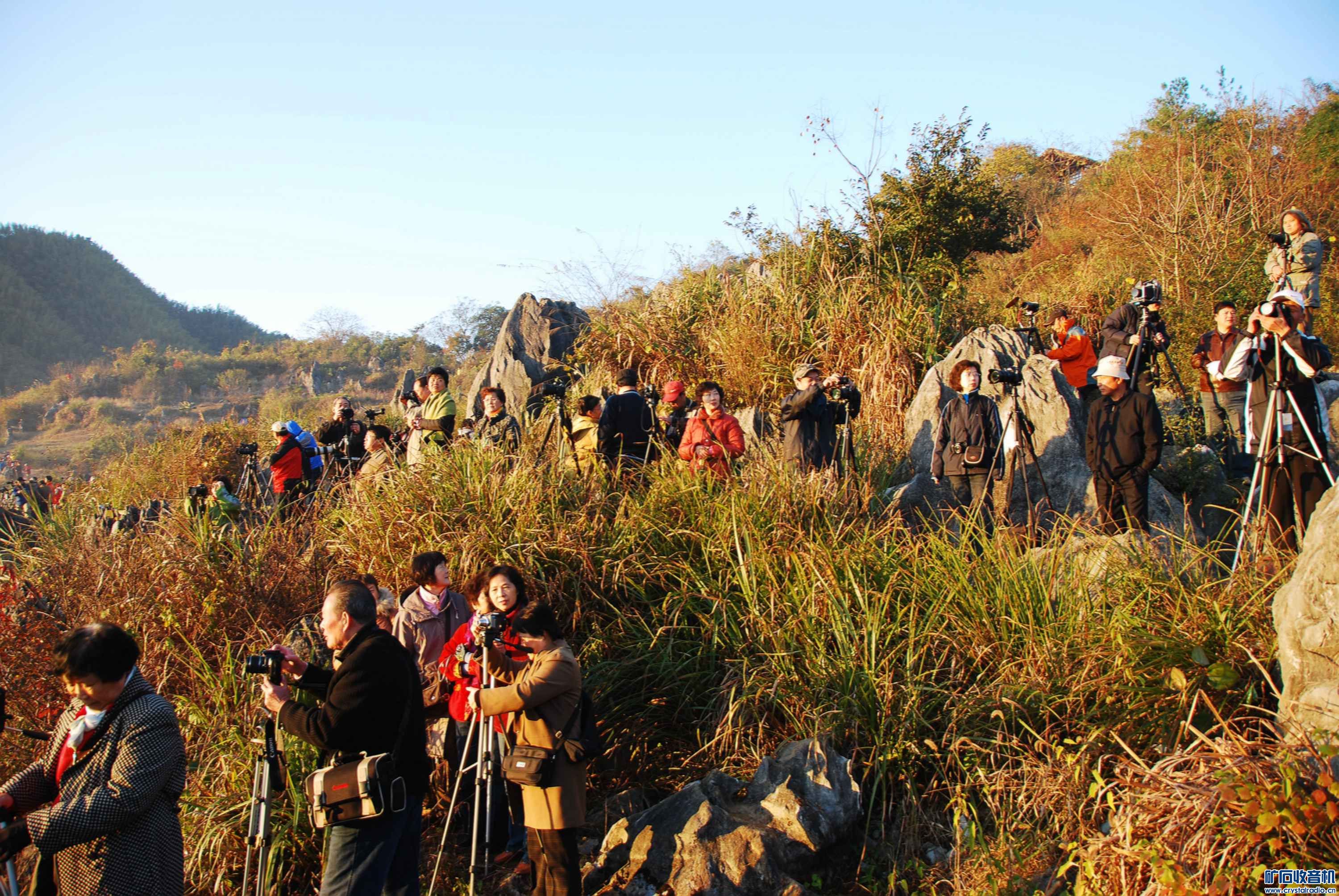 2008.11@14.jpg