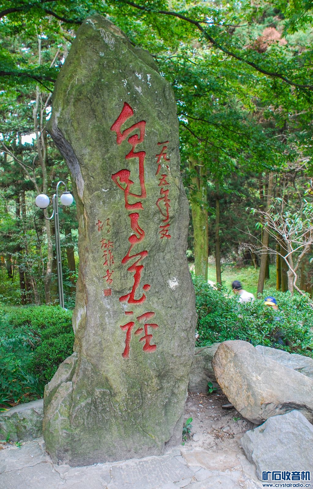 DSC_6628.JPG