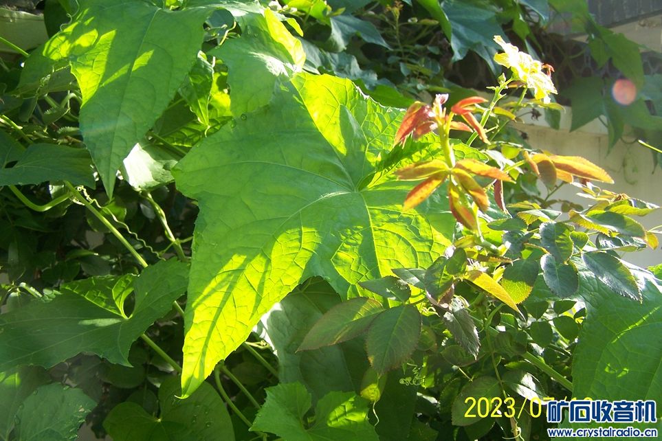 100_7251.JPG