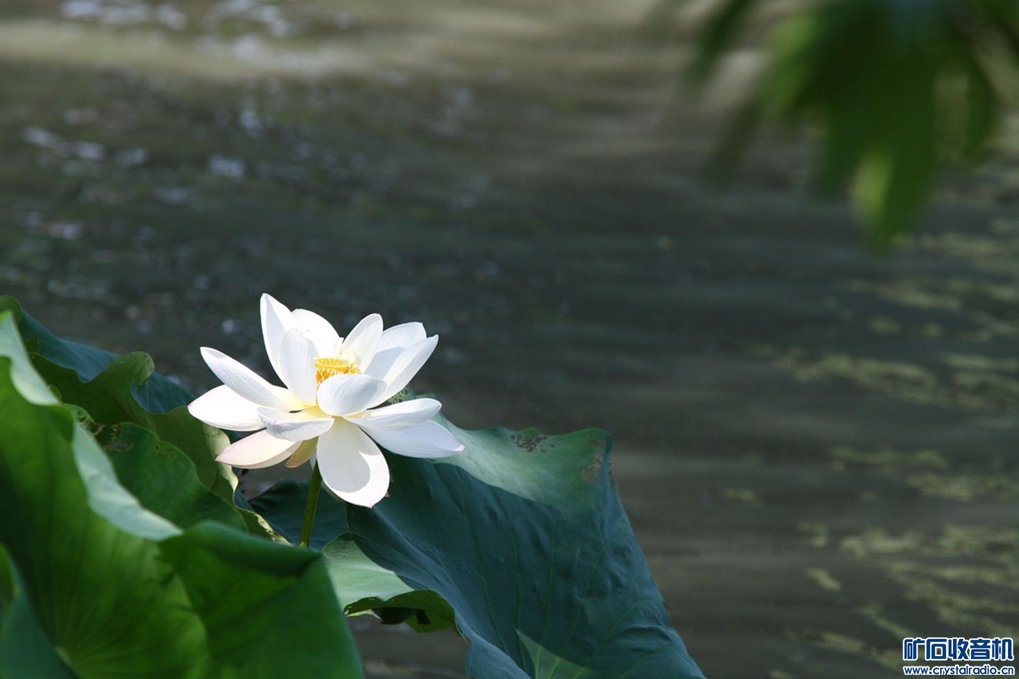 070800s582o34flqjl480n.jpg