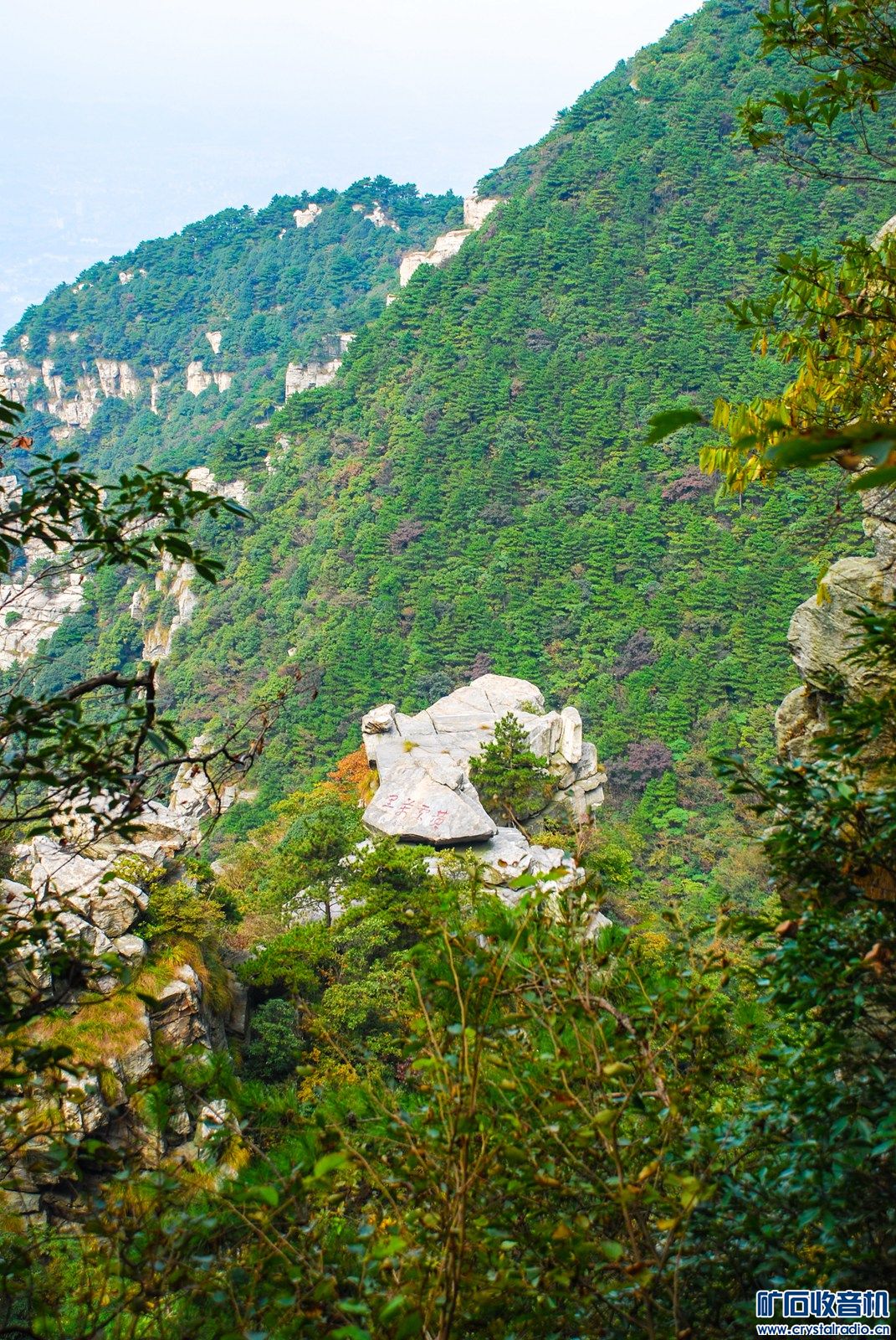 DSC_6664.JPG