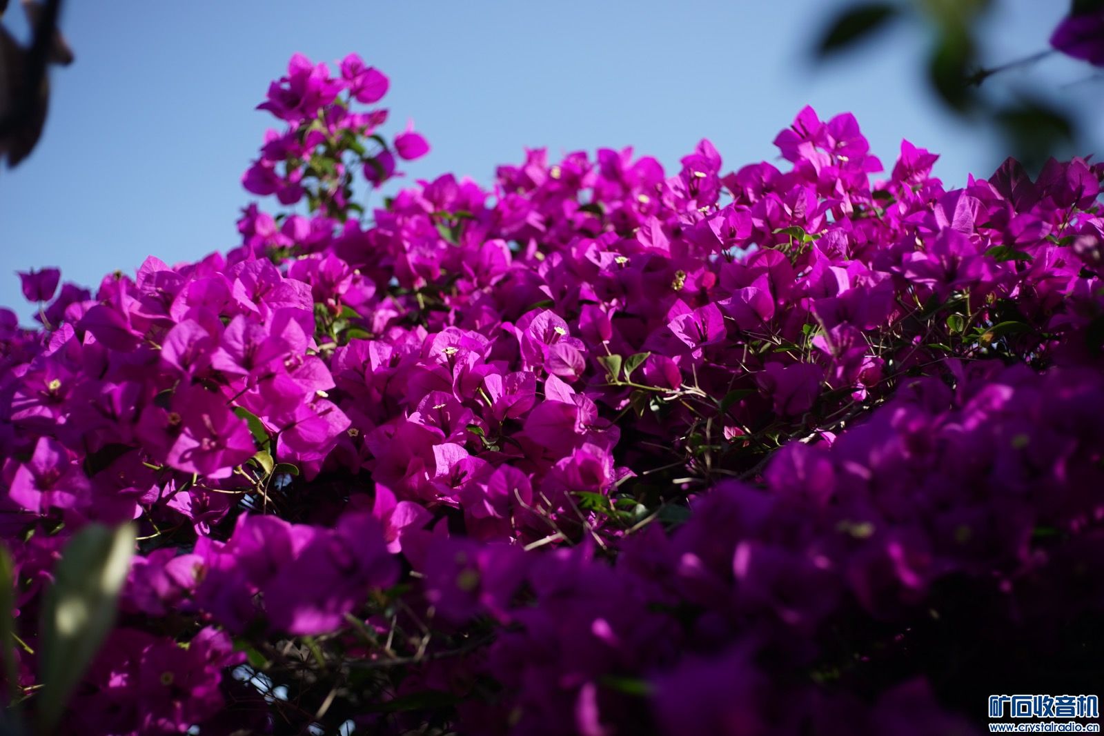 EE749373-320B-468B-9F69-CD4B50537397.jpeg