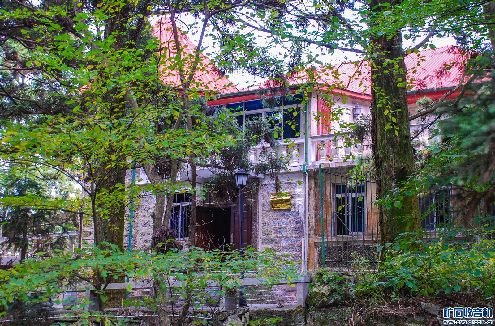 DSC_6629.JPG