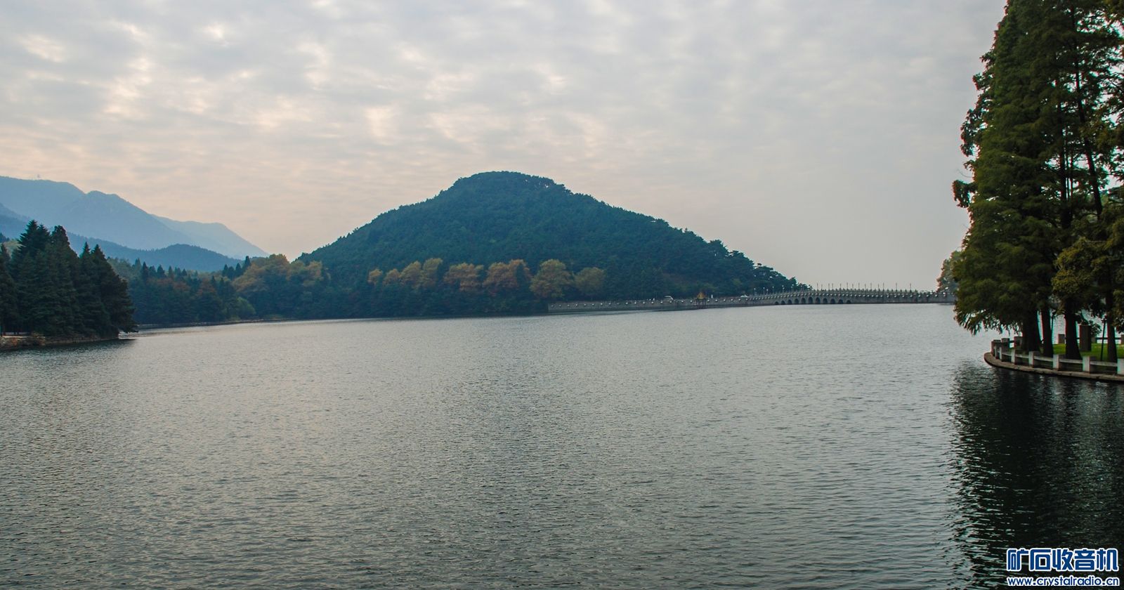 DSC_6750.JPG