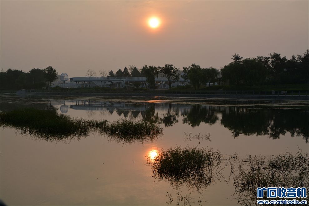 DSC_1180_.jpg