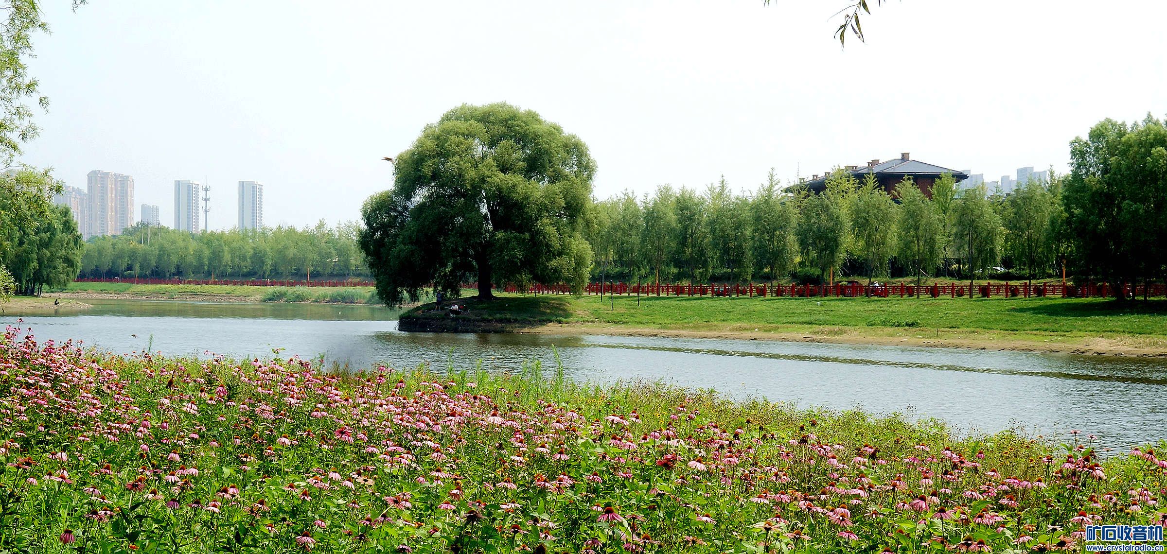 DSC08304.jpg