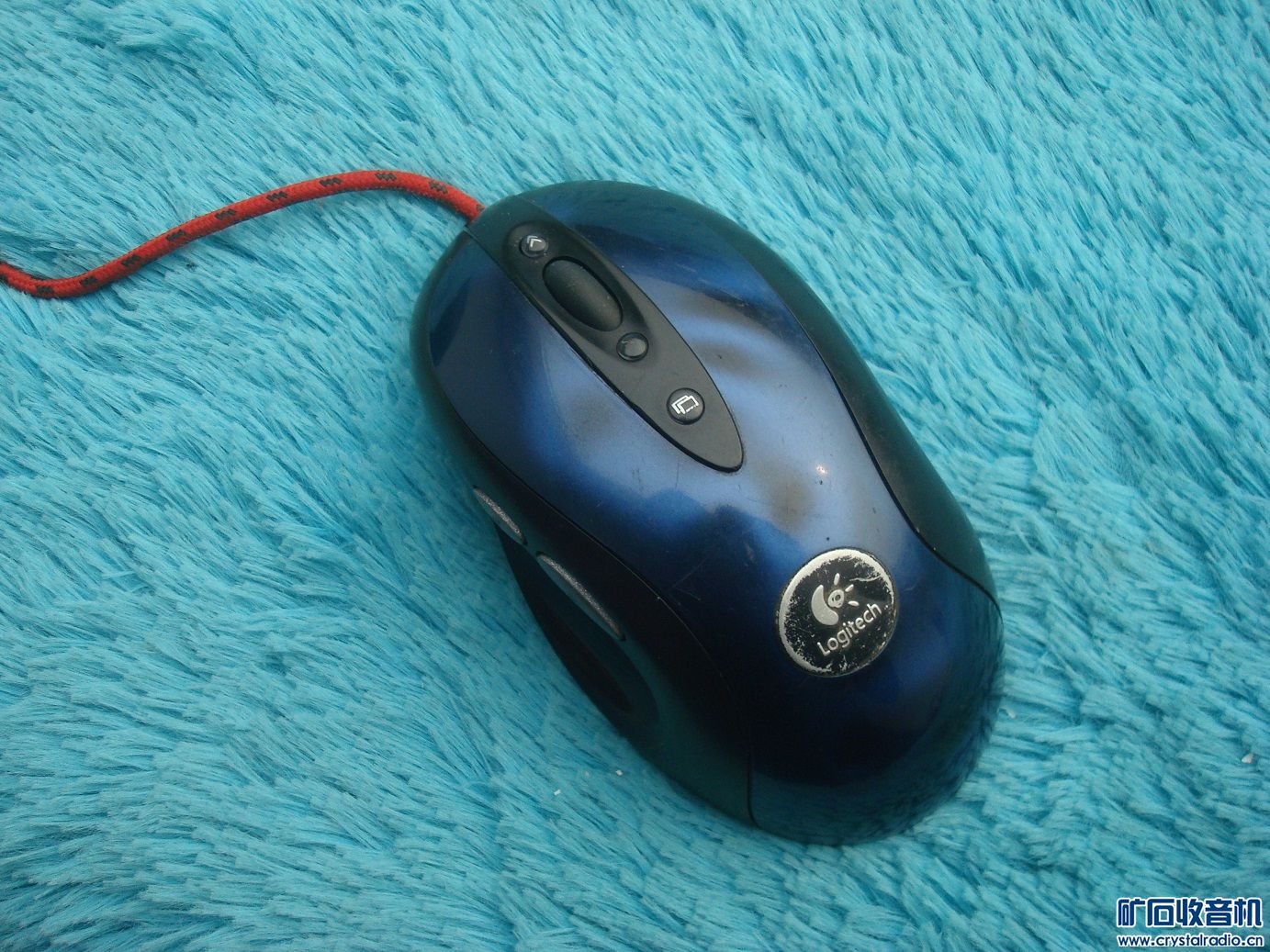 ޼mx5101.JPG