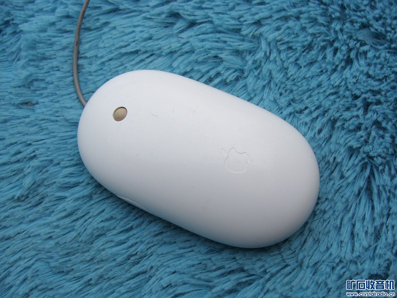 ƻͷ1.JPG