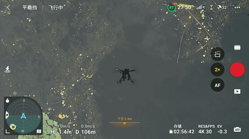 eff-s2.gif