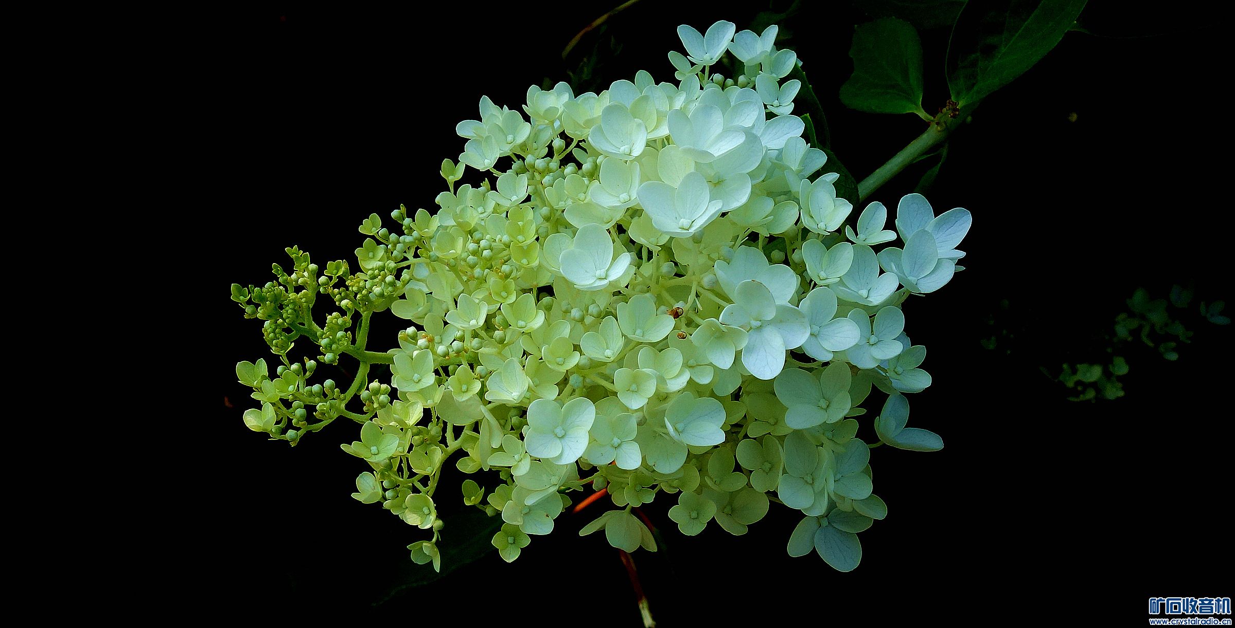 DSC09061.jpg