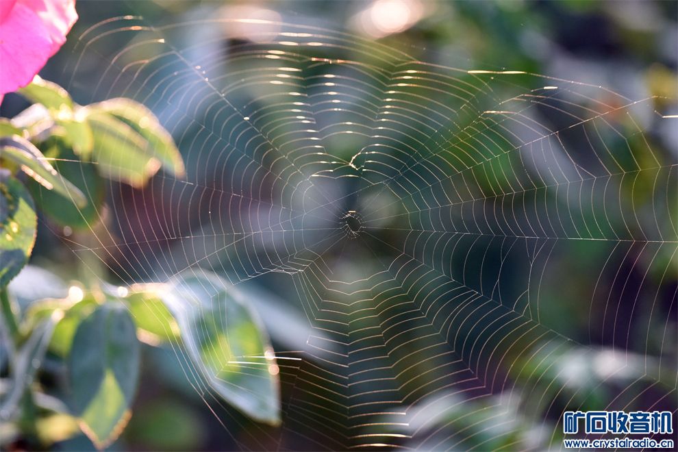 DSC_6821__.jpg