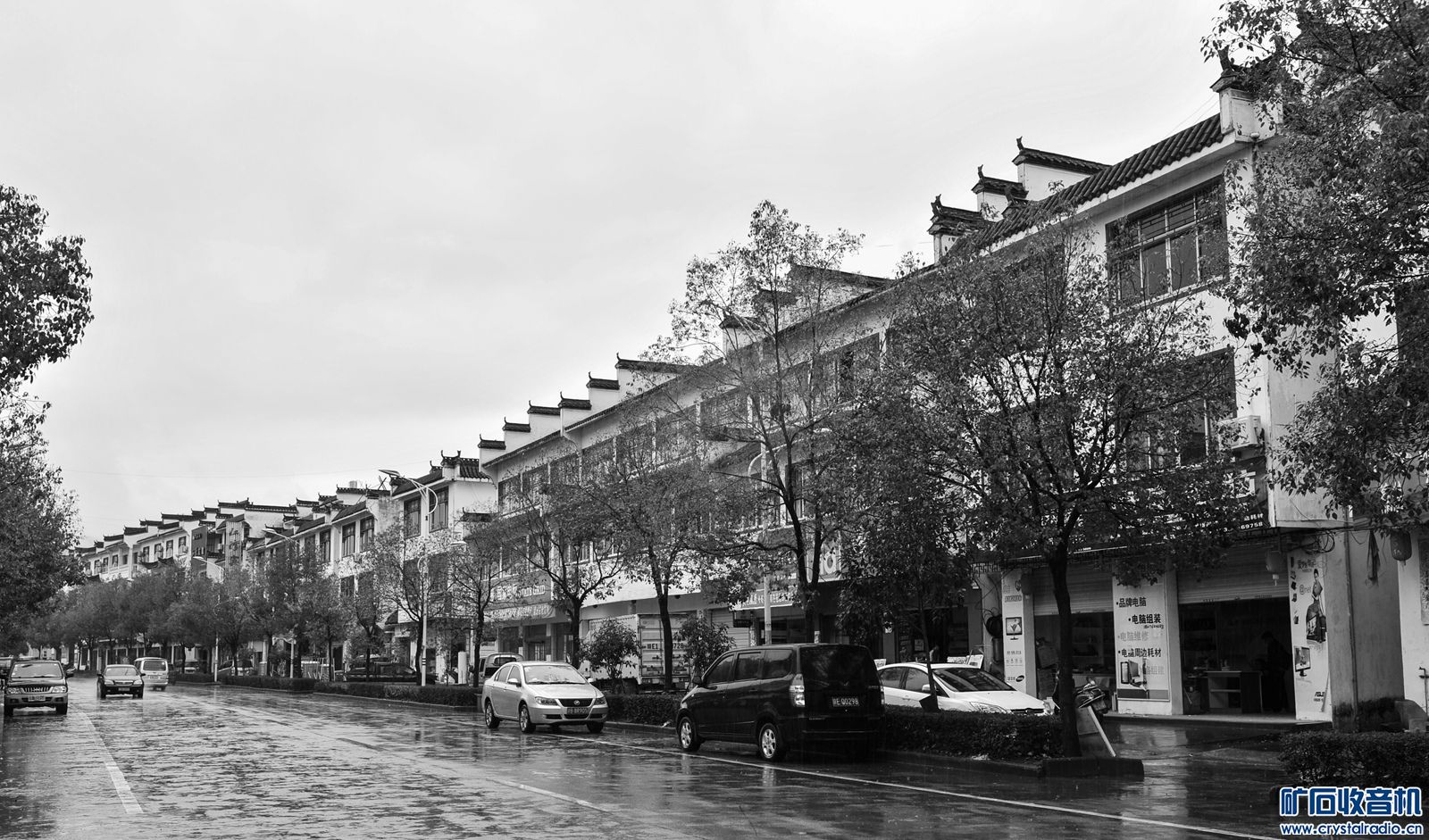 2014 1105.jpg