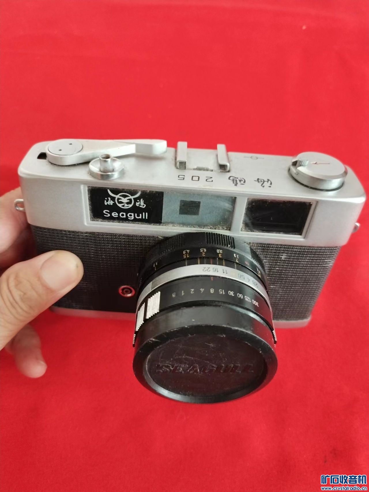 mmexport1693298806216.jpg