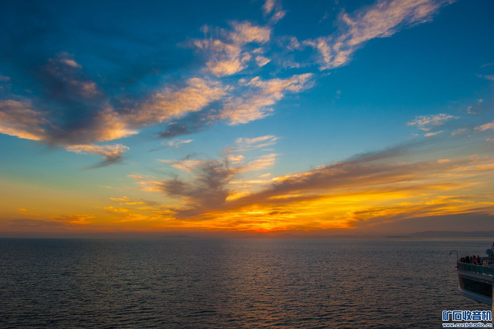 DSC_9581.JPG