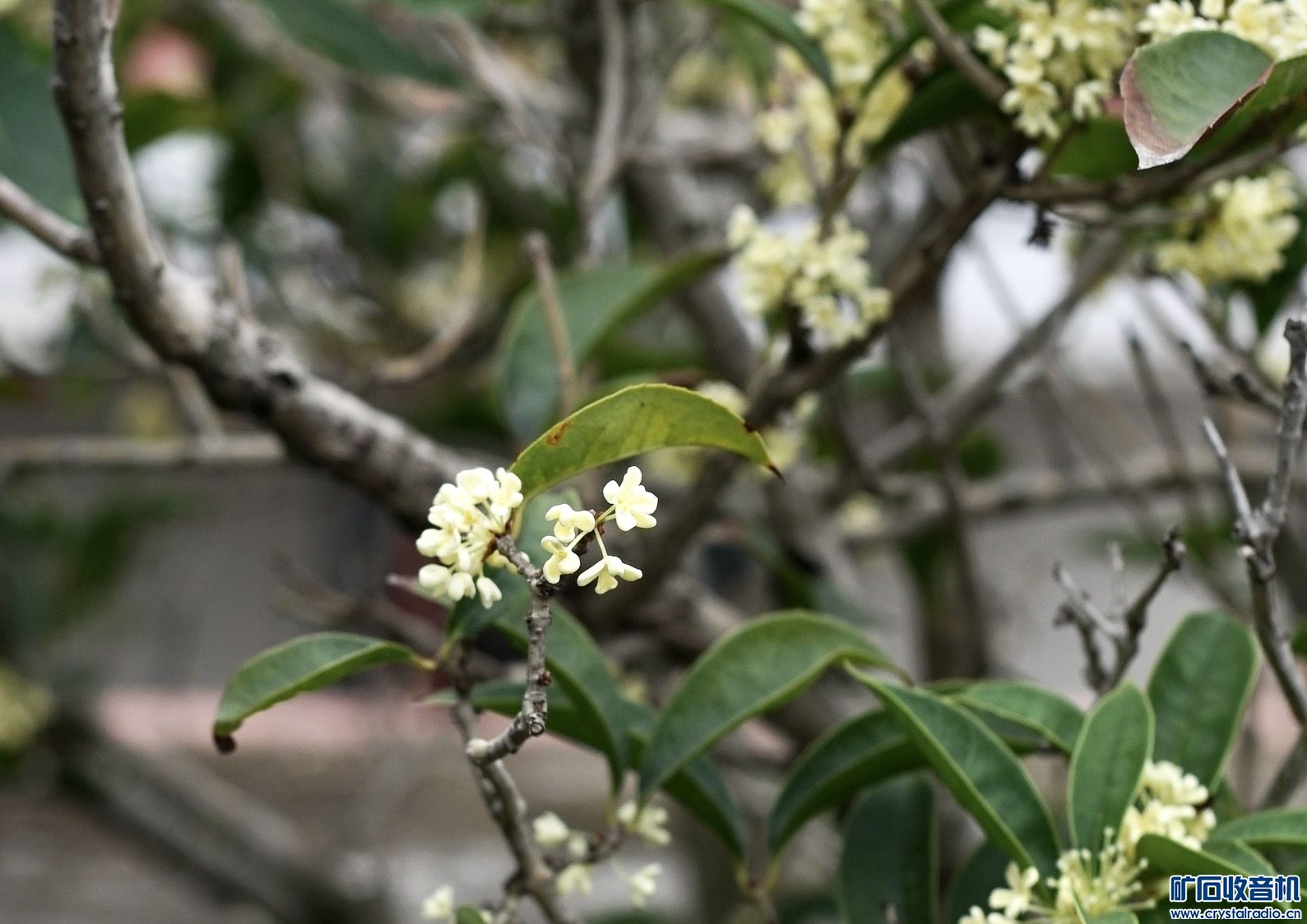06EF1787-830B-40CB-92C7-A34370D334E1.jpeg
