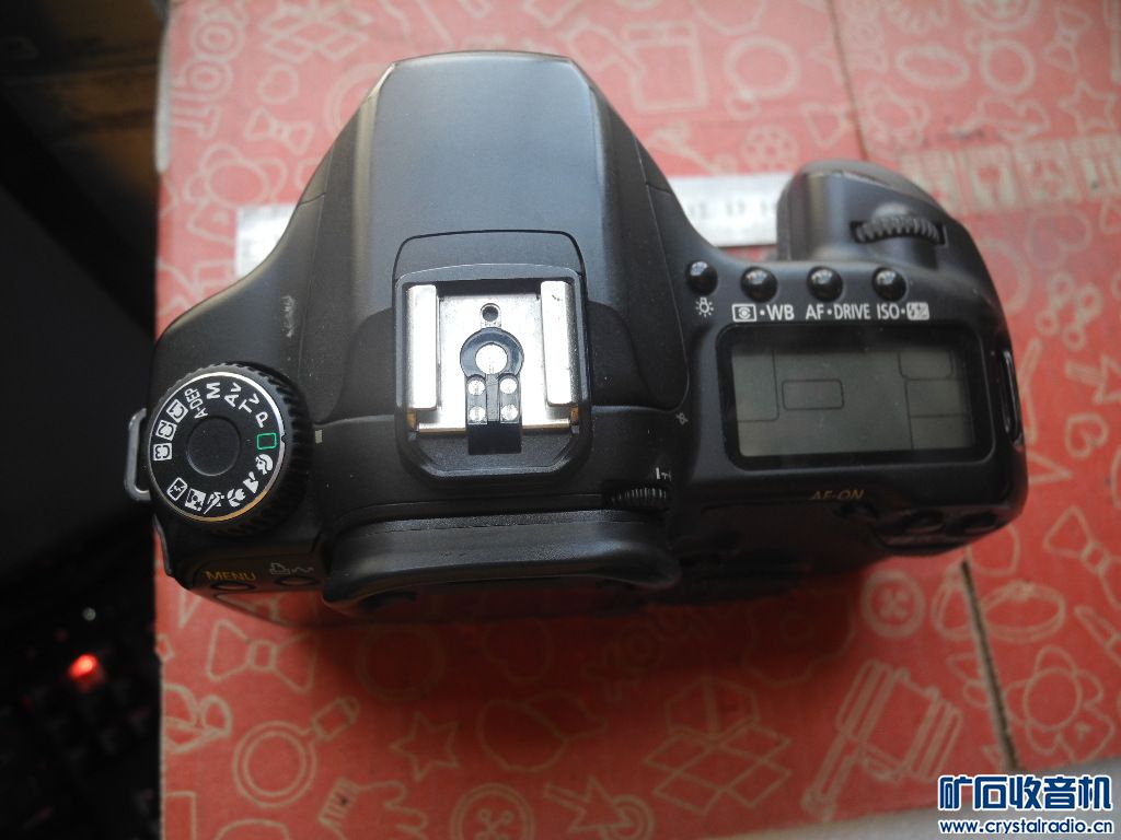 DSCN8075.JPG