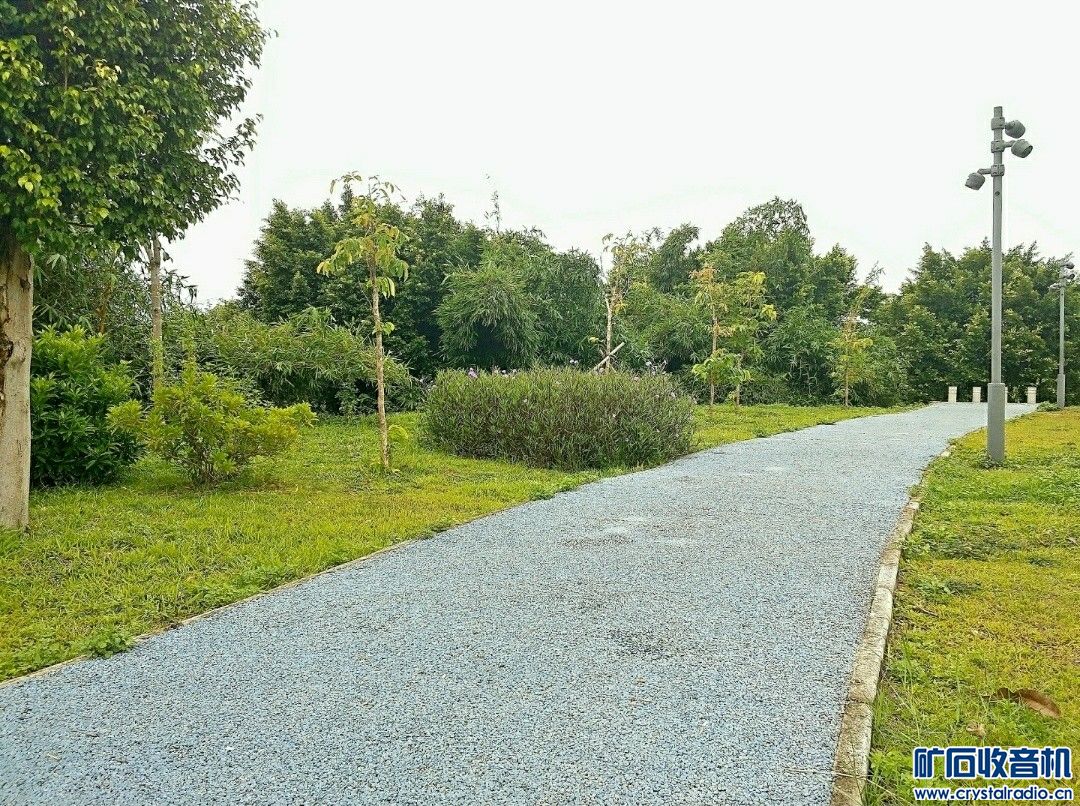 IMG_20231010_164248.JPG_ѹ.jpg