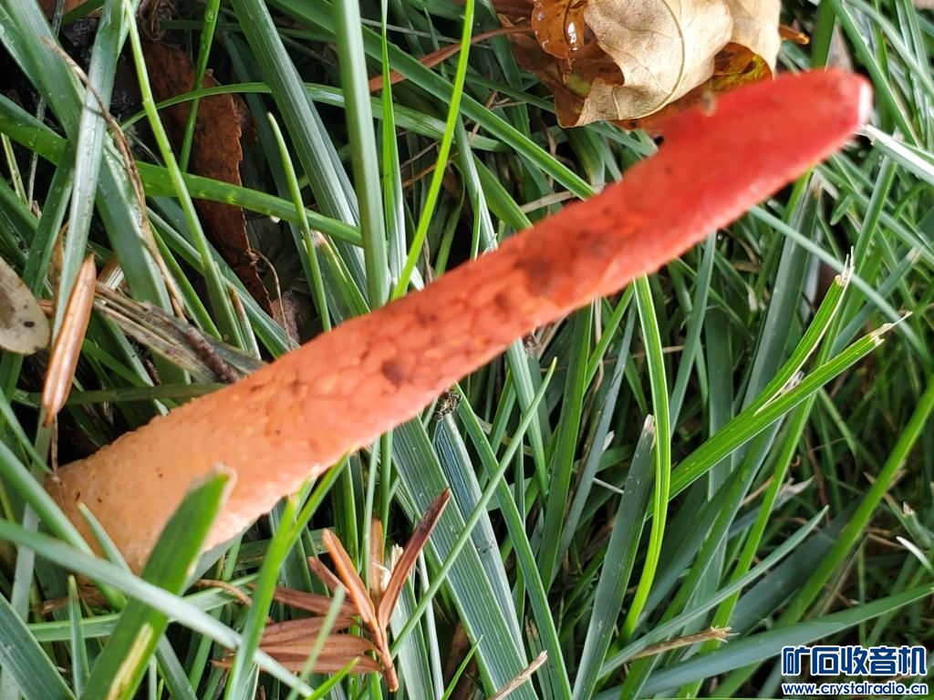 20230910_161557.jpg